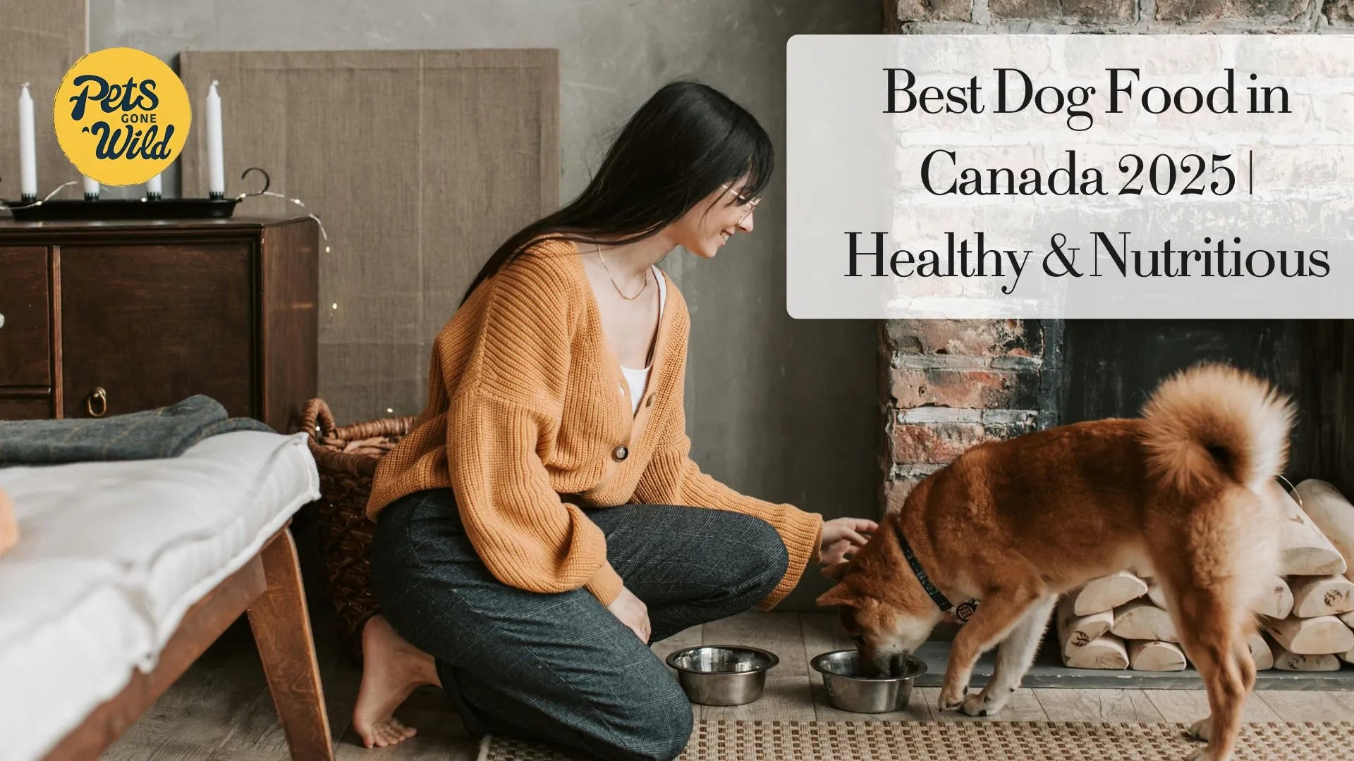 Best Dog Food in Canada 2025 | Healthy & Nutritious