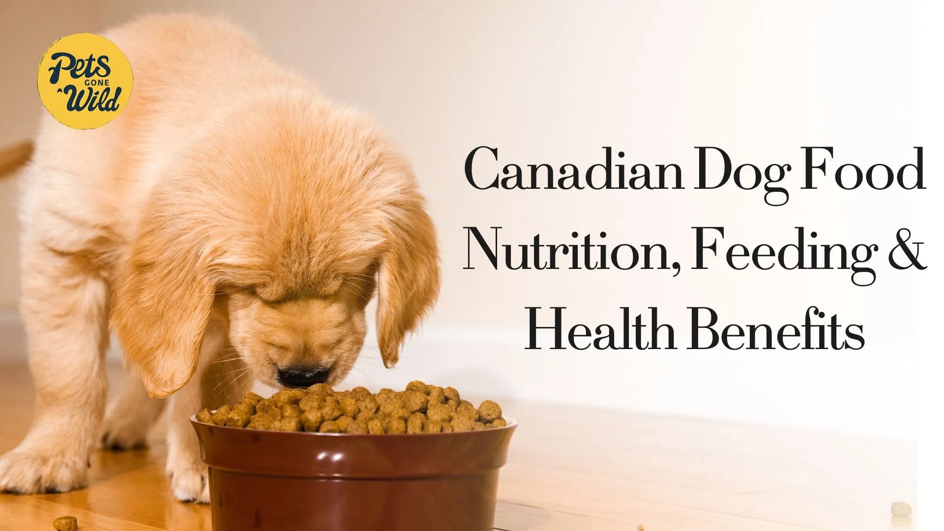 Canadian Dog Food: Nutrition, Feeding & Health Benefits