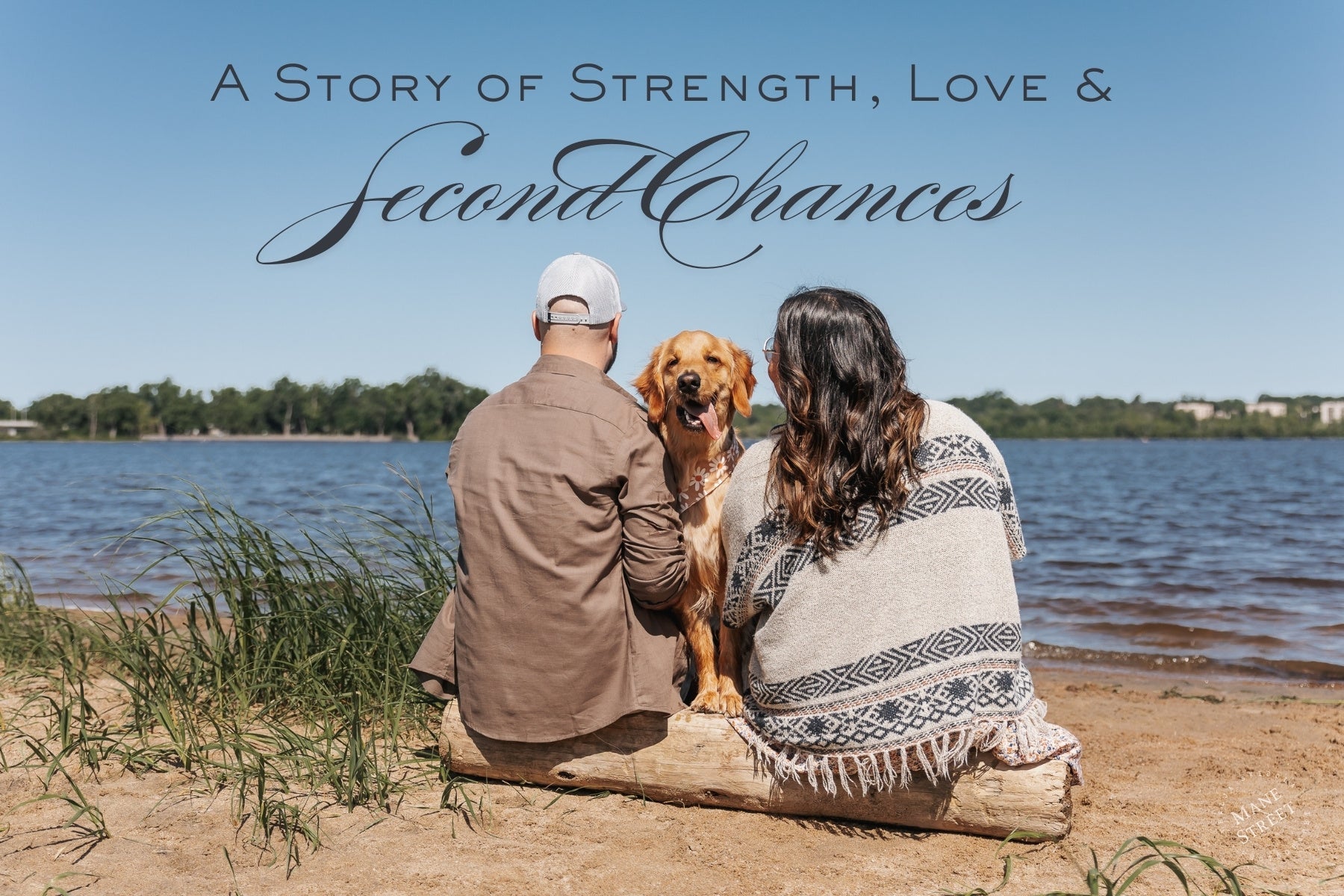 The Journey of Ricardo: A Golden Retriever Who Beat the Odds