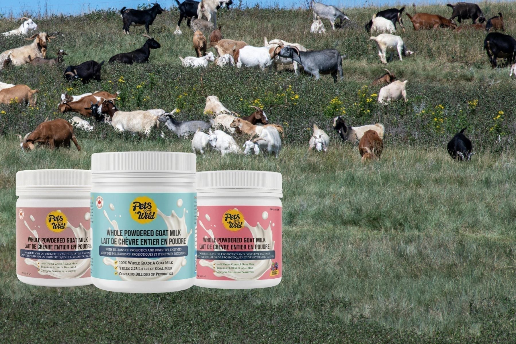 100% Pure Goat Milk for Pets in Canada – A-Grade Quality You Can Trust