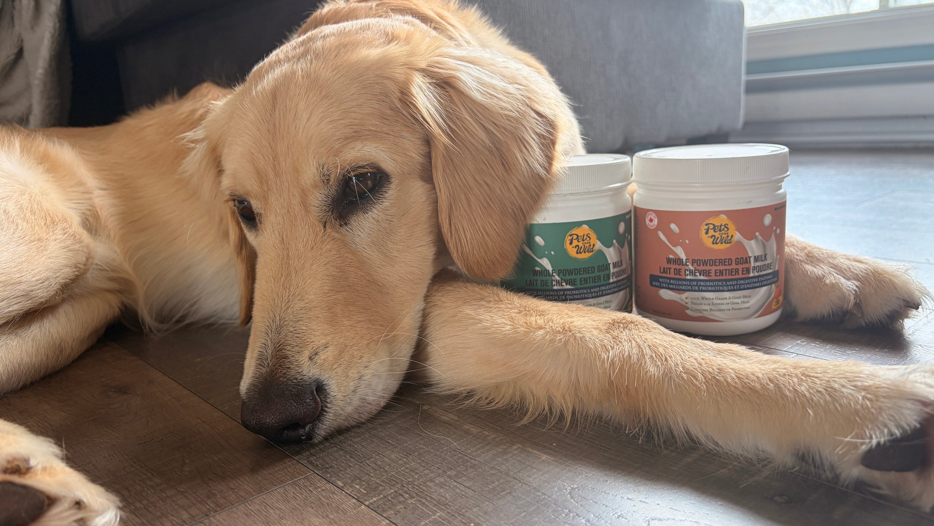 The Gut is Everything: Let’s Talk About What Really Matters