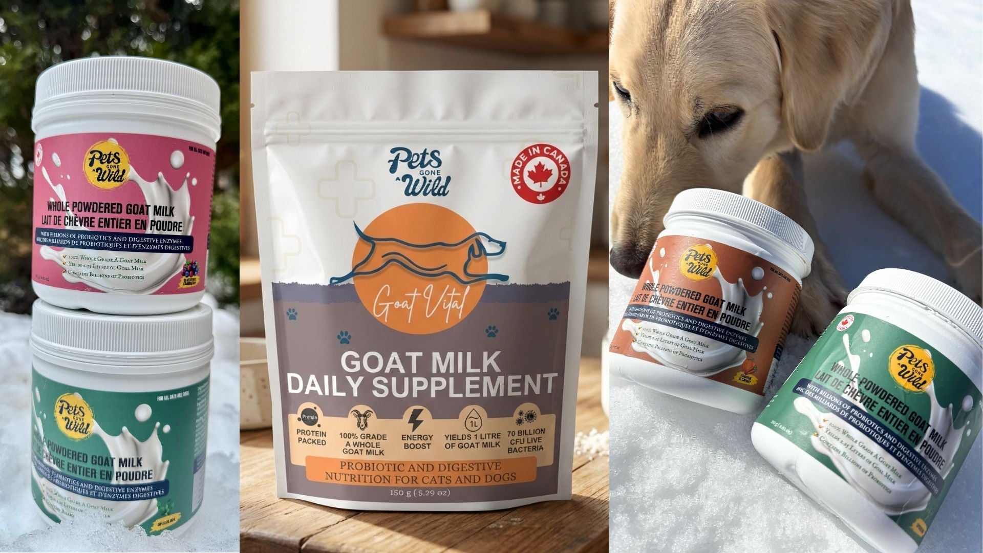 Where to Buy Goat Milk for Pets in Canada (2026 Guide)