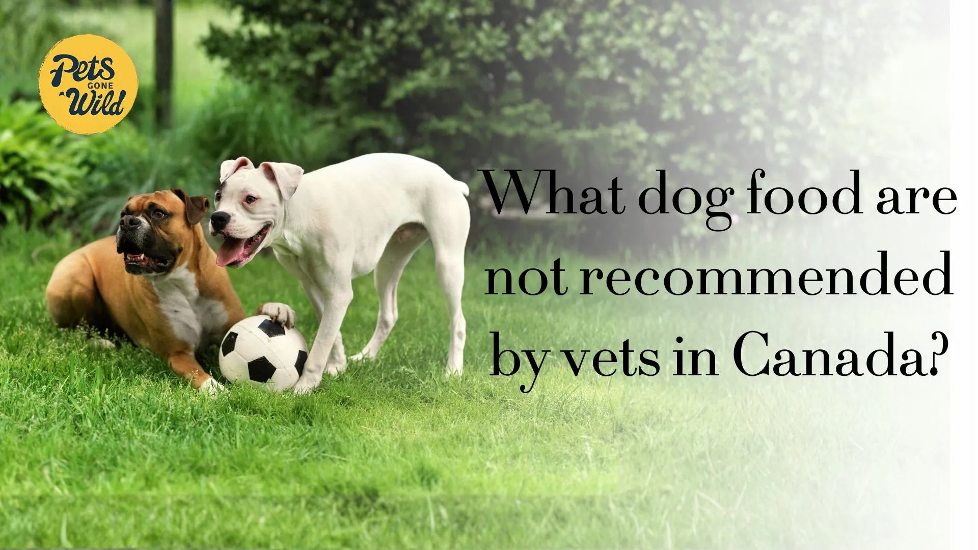 What dog food are not recommended by vets in Canada?