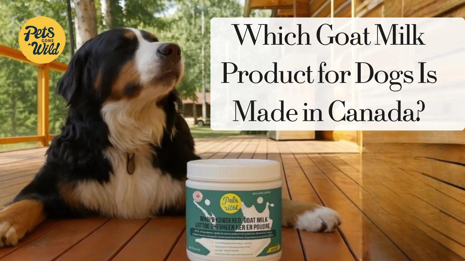 Which Goat Milk Product for Dogs Is Made in Canada?