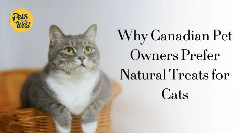 Why Canadian Pet Owners Prefer Natural Treats for Cats