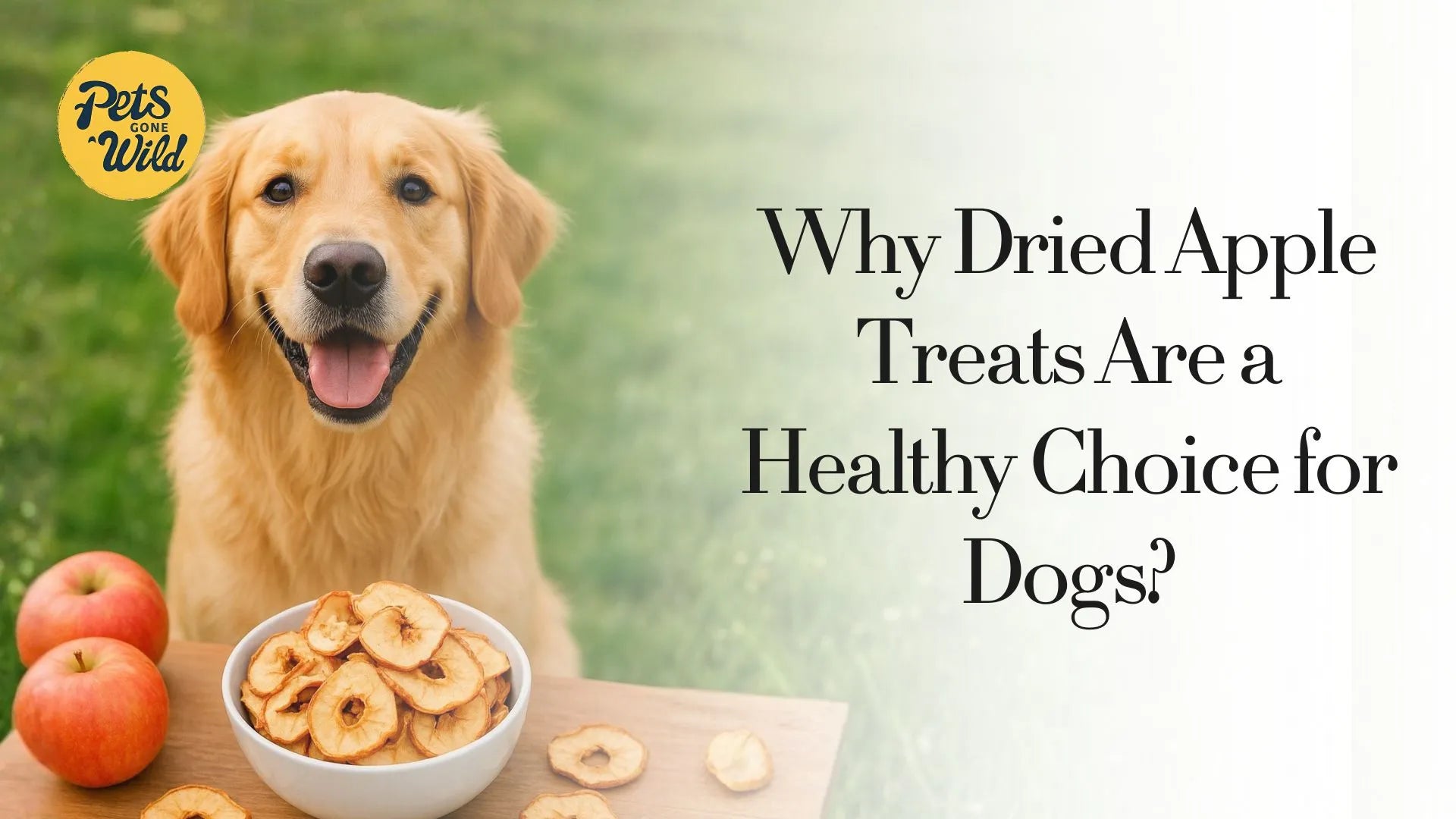 Why Dried Apple Treats Are a Healthy Choice for Dogs?