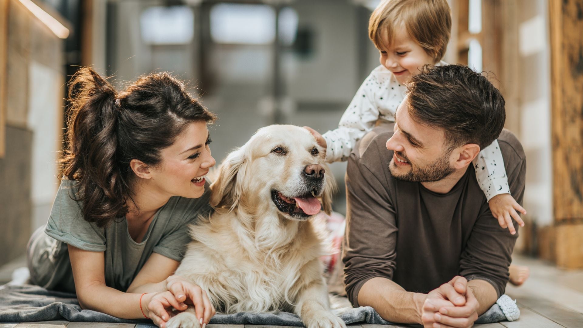 How to Improve Your Dog's Gut Health Naturally: The Complete Guide for Pet Parents