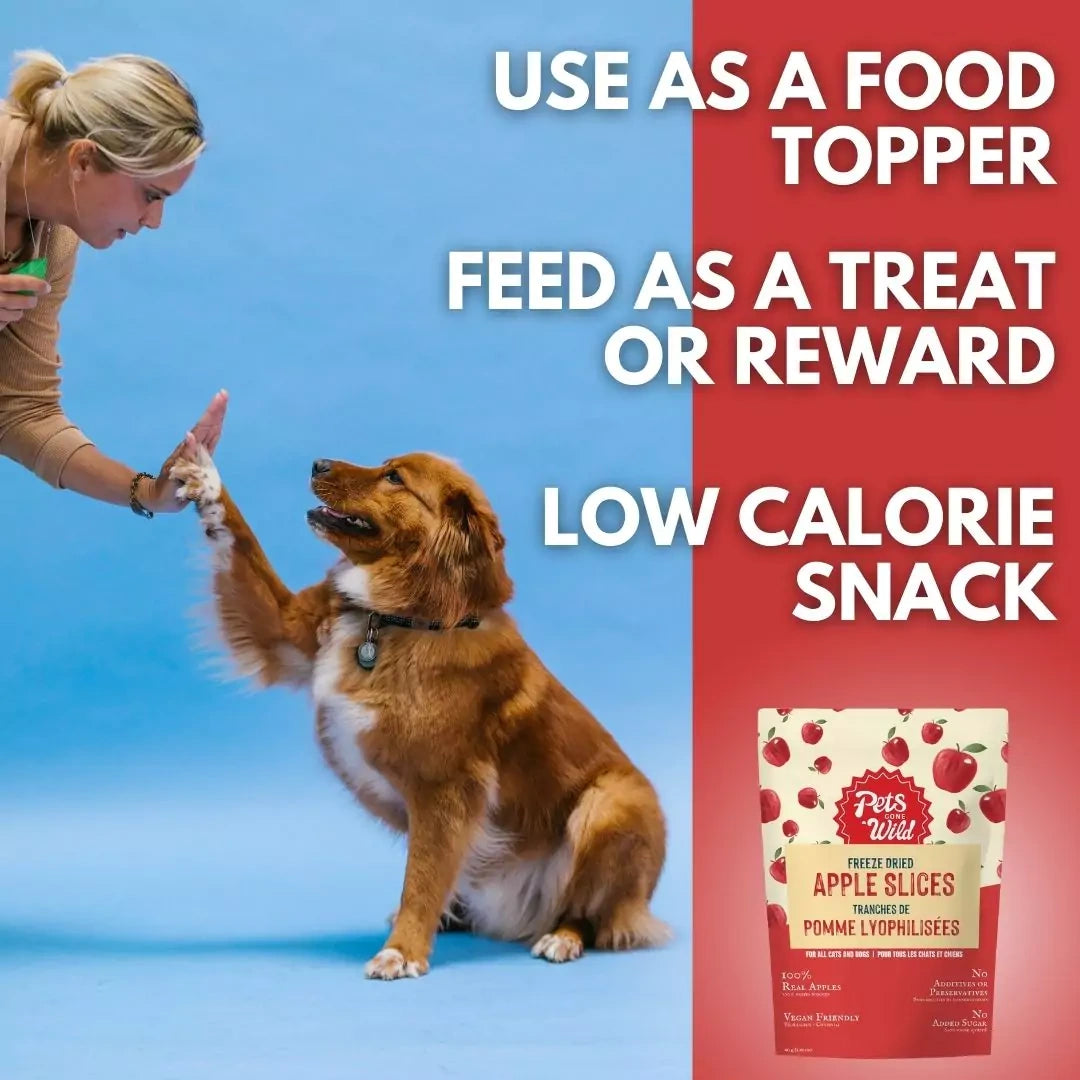 Crisp Apple Bliss Triple Treat Pack