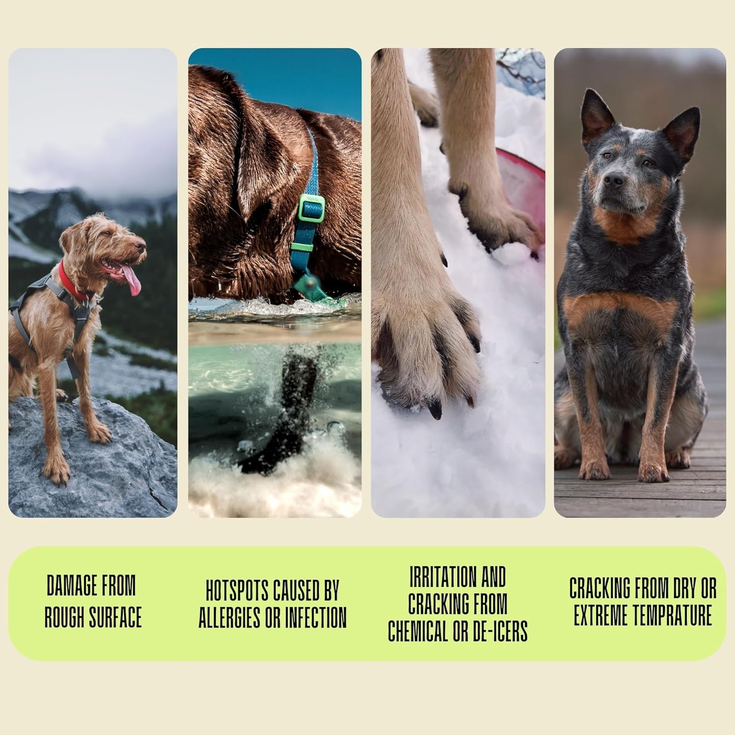 Capucao Butter Vegan Paw & Nose Balm