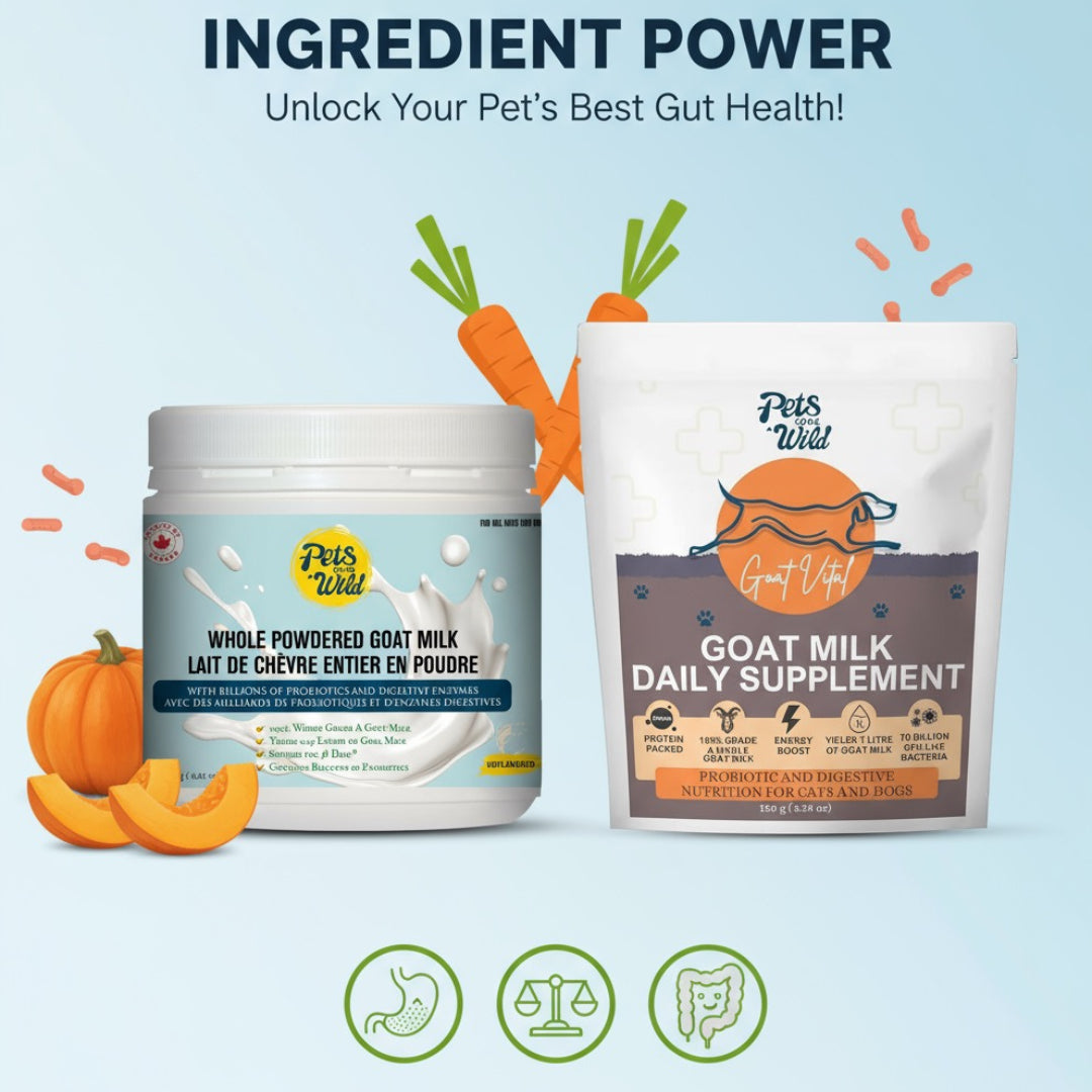 Digestive Defense Duo