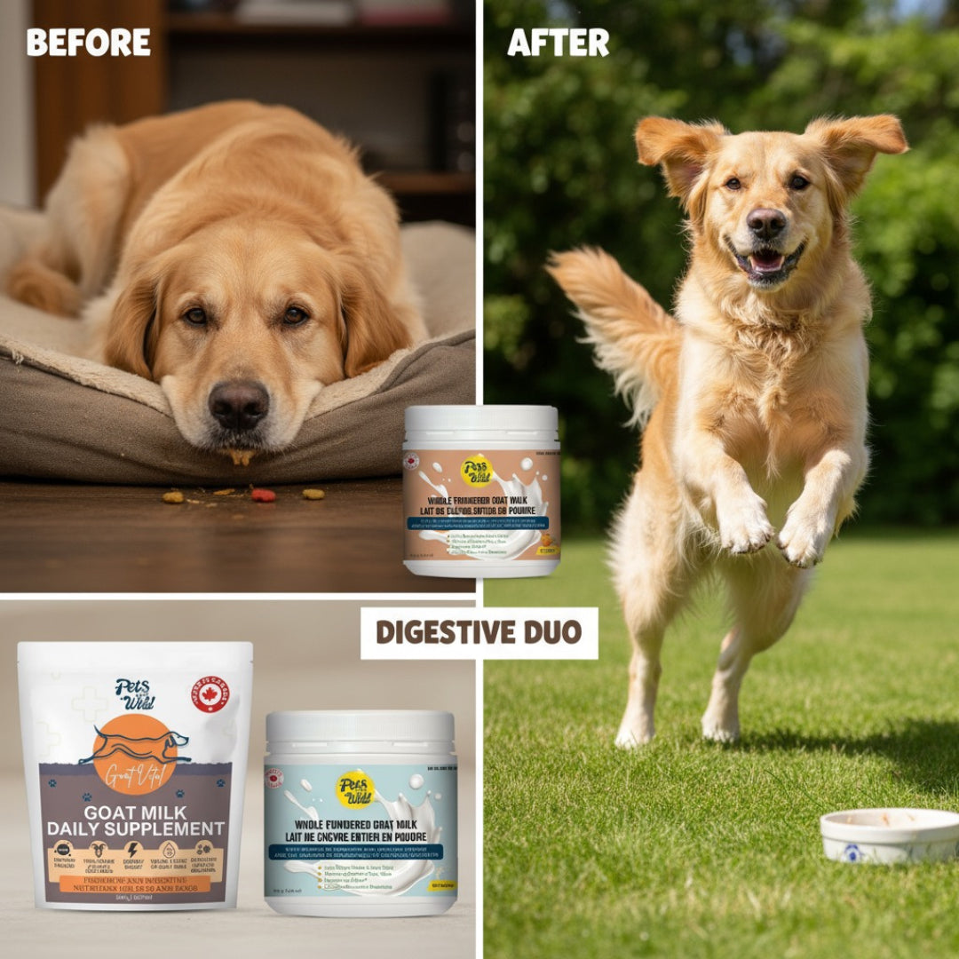 Digestive Defense Duo