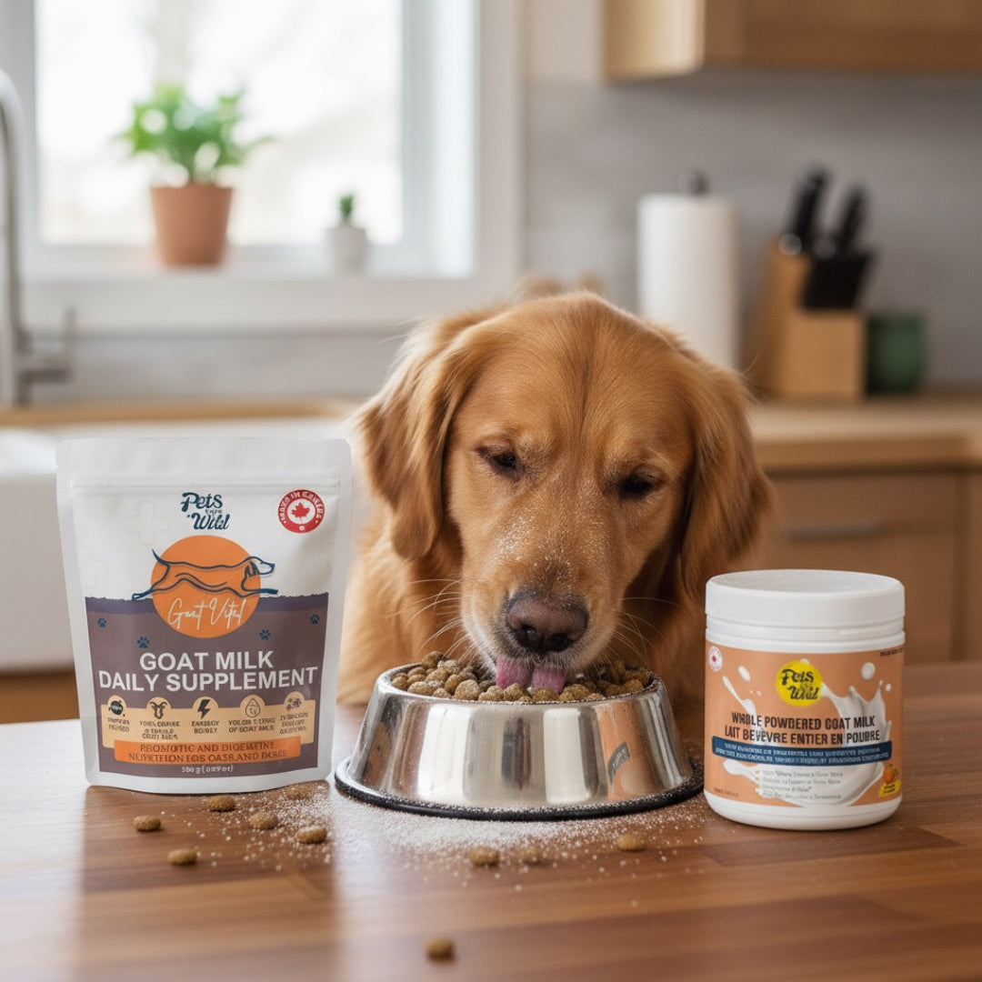 Digestive Defense Duo