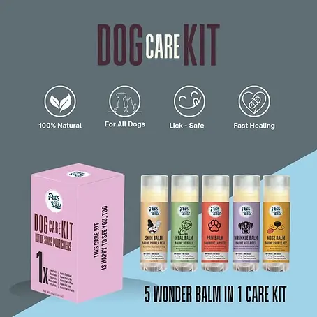 Dog Care Balm Bundle, 5 Natural Healing Sticks for Paws, Nose & Skin