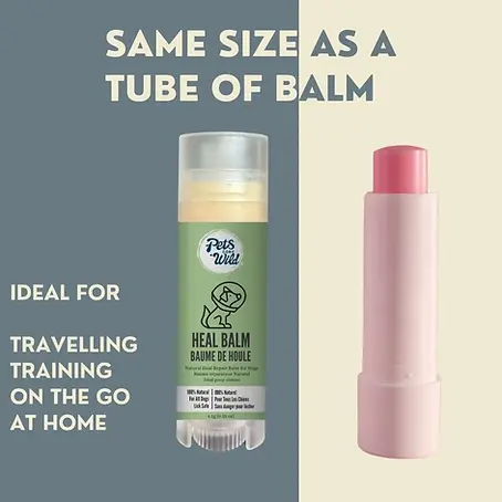 Dog Care Balm Bundle, 5 Natural Healing Sticks for Paws, Nose & Skin