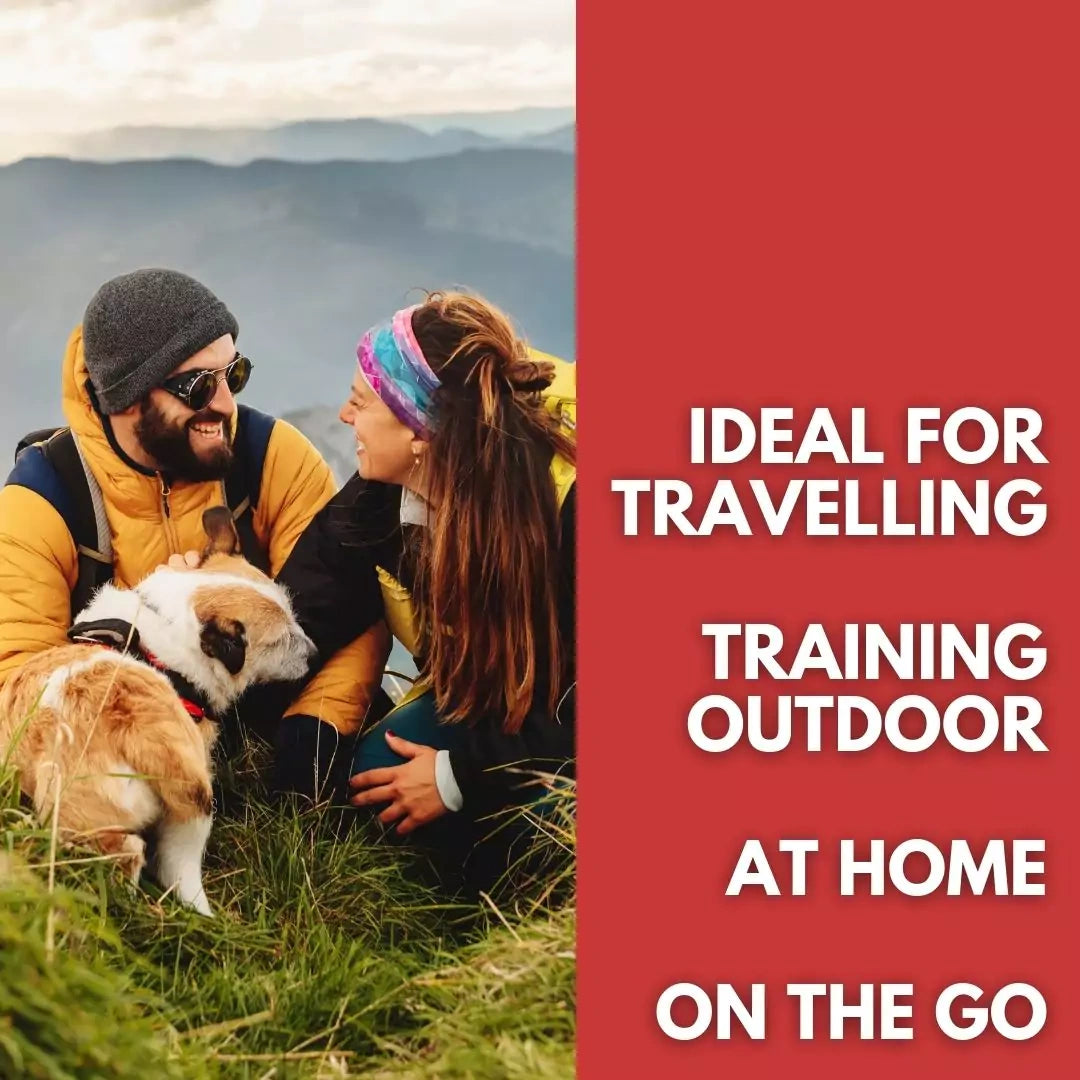 Crisp Apple Bliss Triple Treat Pack