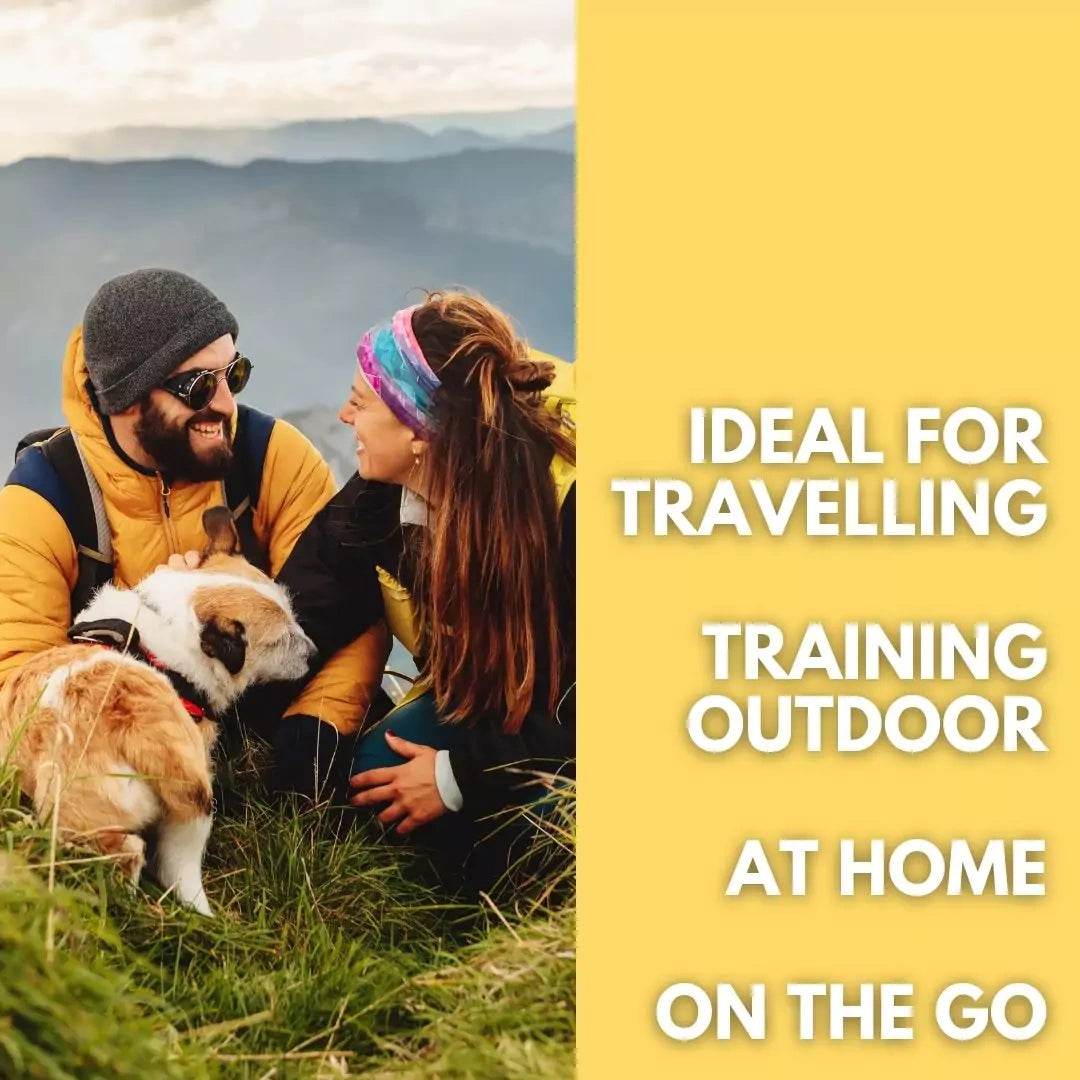 Two people sitting on grass with two dogs, surrounded by mountains, with text about ideal products for various activities.