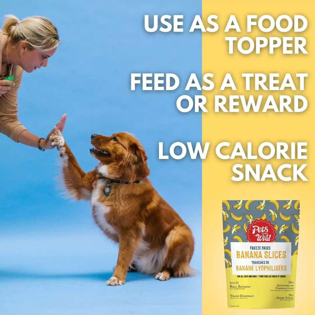 Dog receiving a treat from a person with text about using the product as a food topper, treat, or reward.