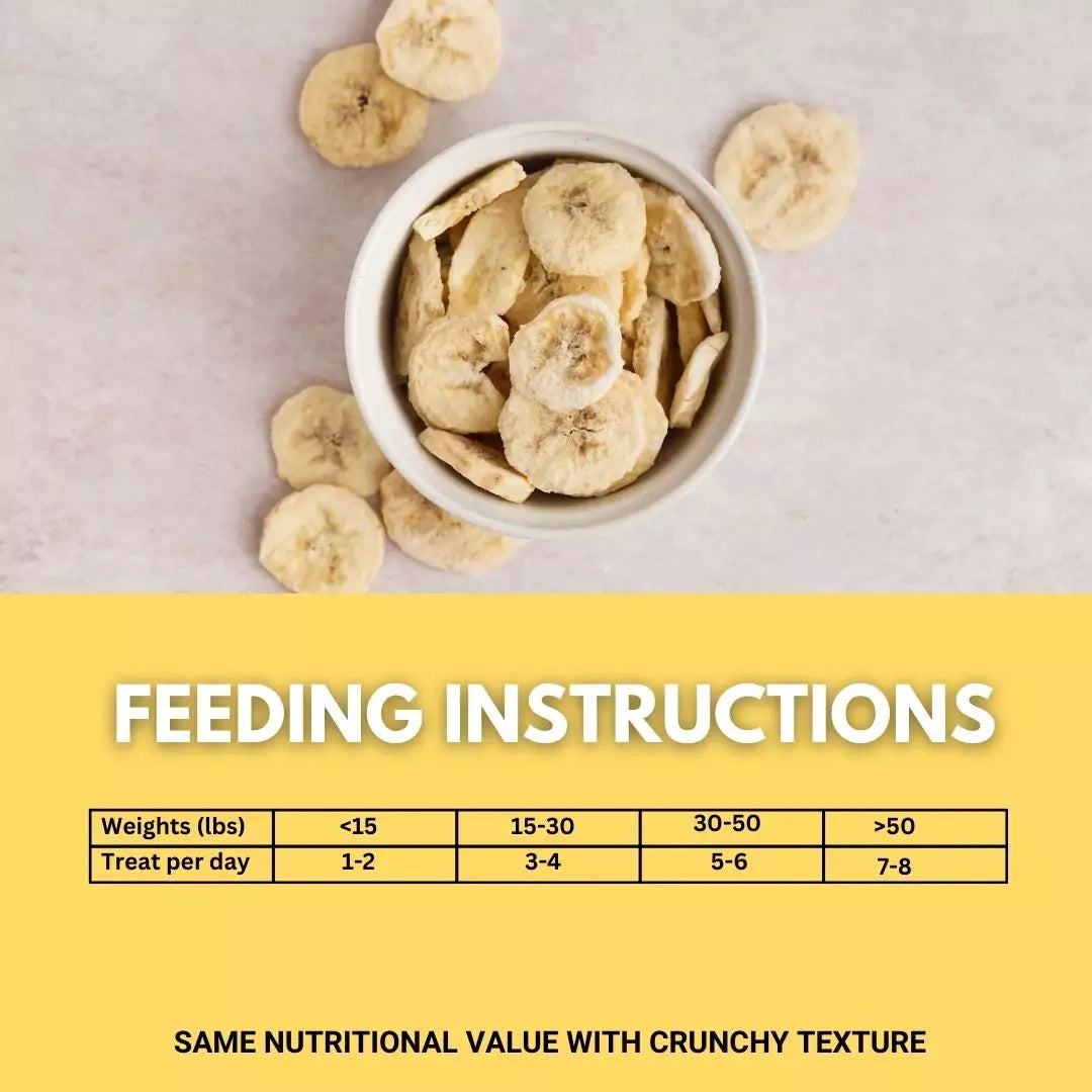 Dried banana slices in a bowl with feeding instructions on a yellow background