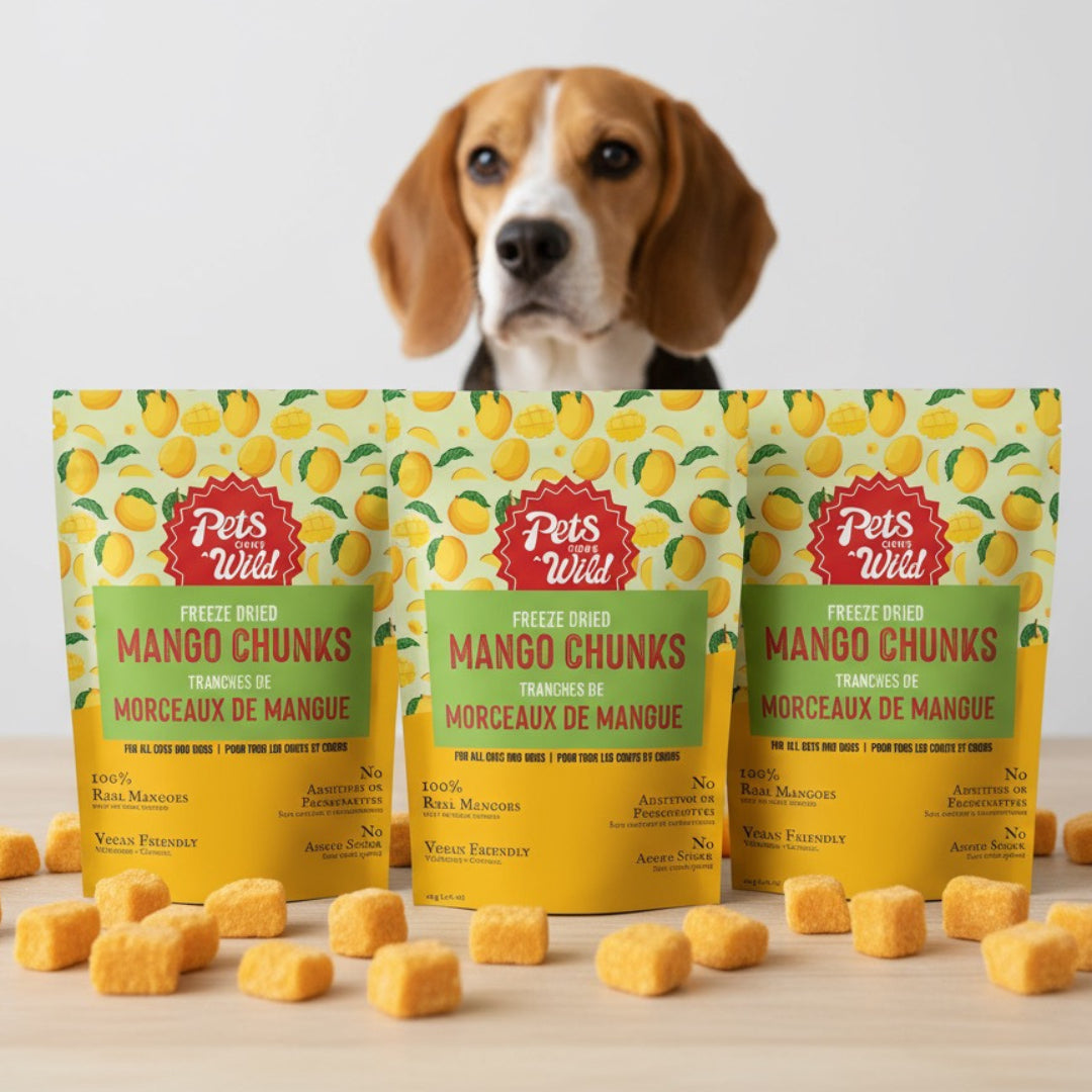 Three packages of 'Pets Wild' Mango Chunks with a dog in the background