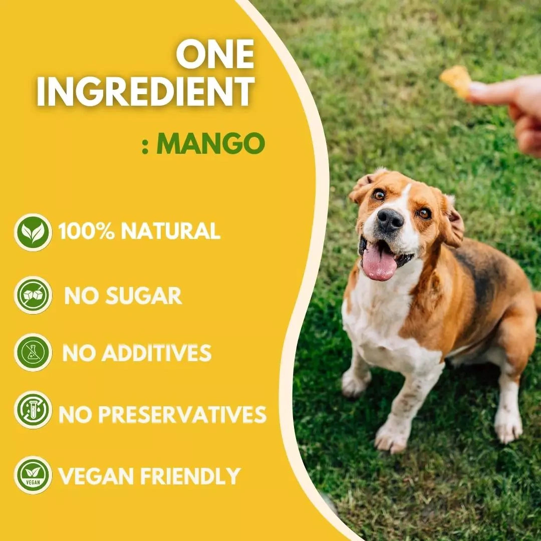 Dog enjoying mango treat with product features on a yellow background