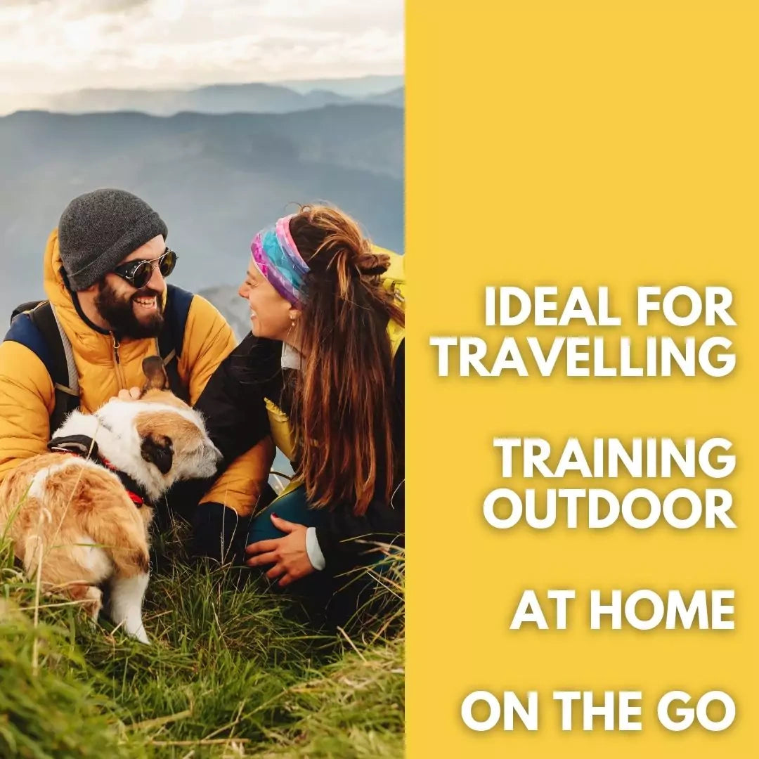 Two people sitting on grass with two dogs, surrounded by mountains, with text about ideal use cases.