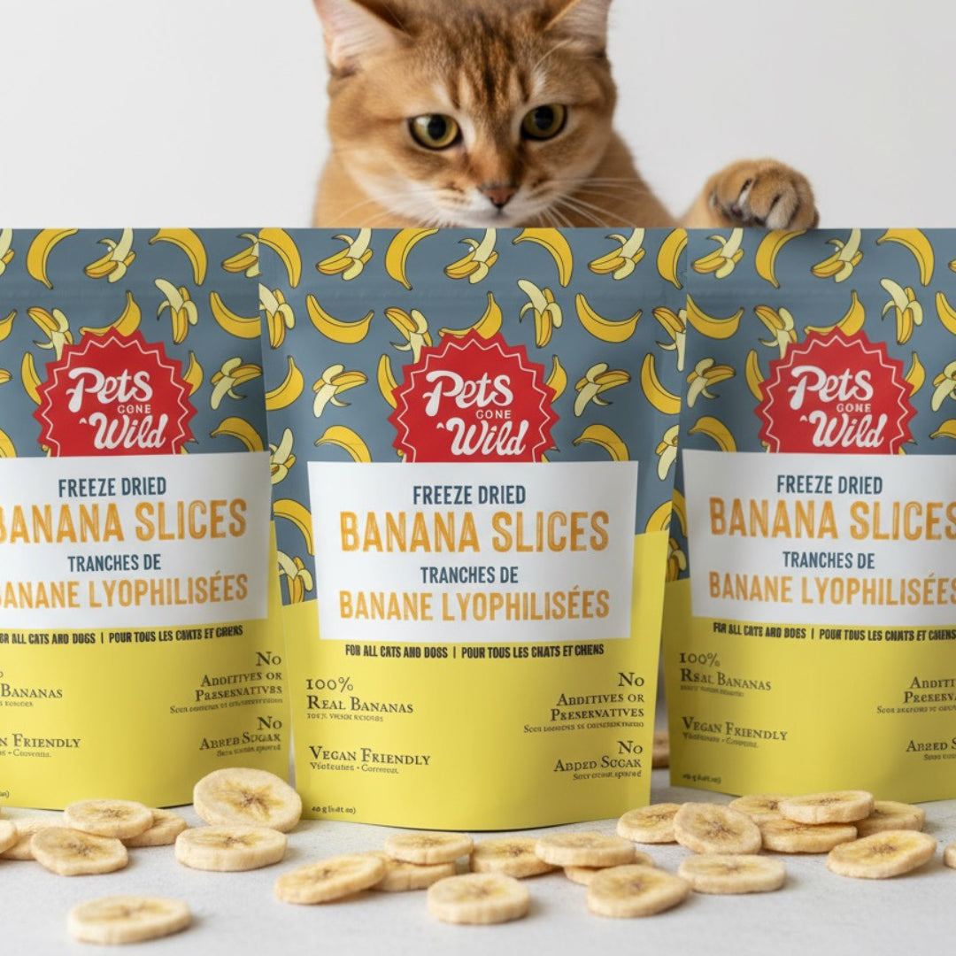 Pet food packaging with freeze-dried banana slices and a cat peeking over the top.