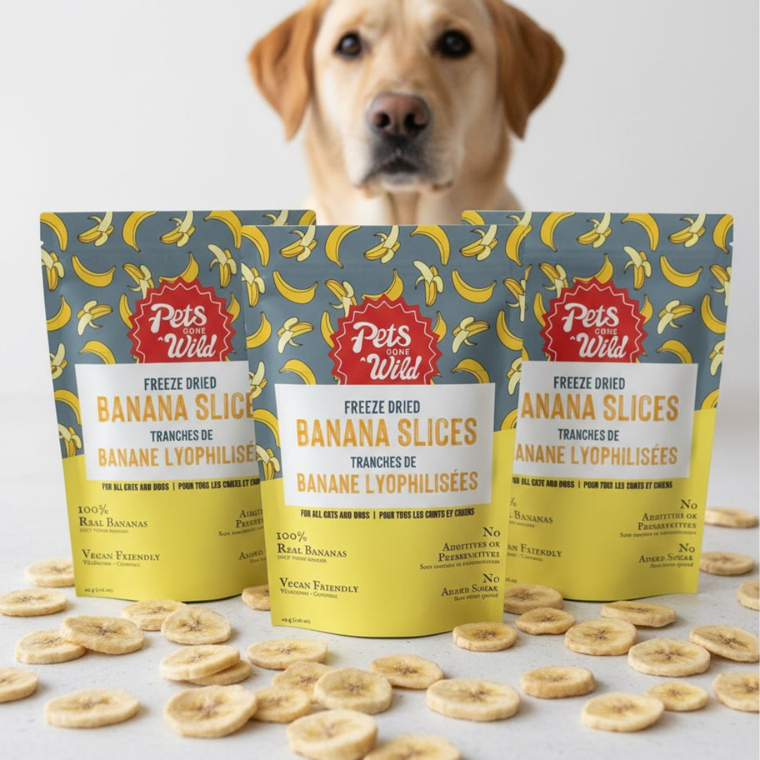 Pets Wild freeze-dried banana slices packaging with a dog in the background
