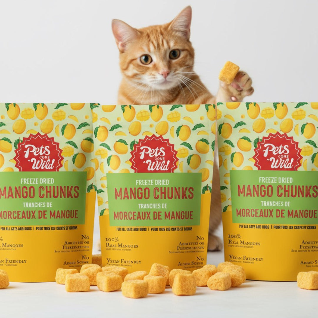 Cat with packages of Pets Wild Mango Chunks on a white background