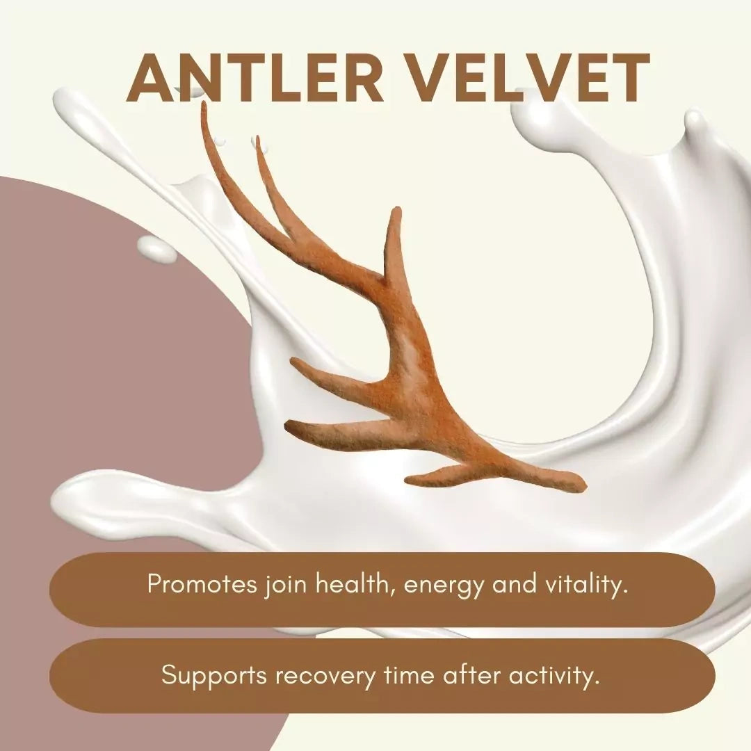 Goat Milk with Elk Velvet Power Formula