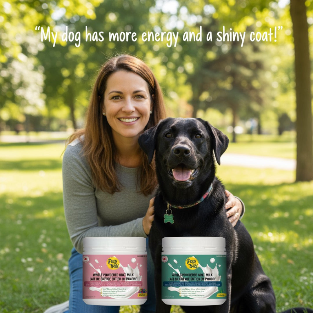 Immunity & Vitality Boost