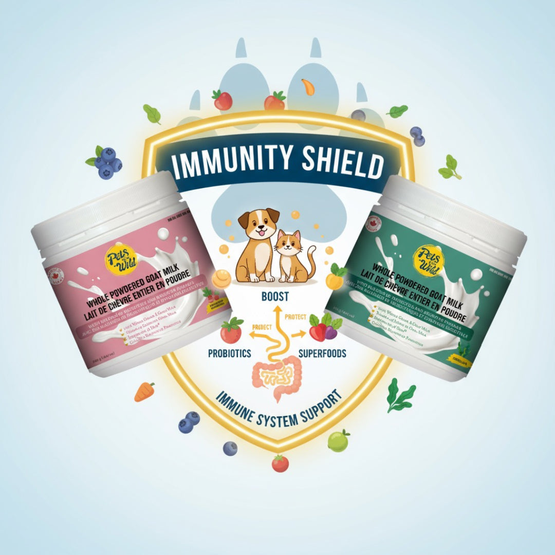 Immunity & Vitality Boost