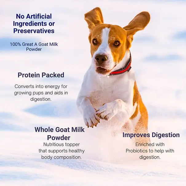 Instant Goat’s Milk with Probiotics & Enzymes