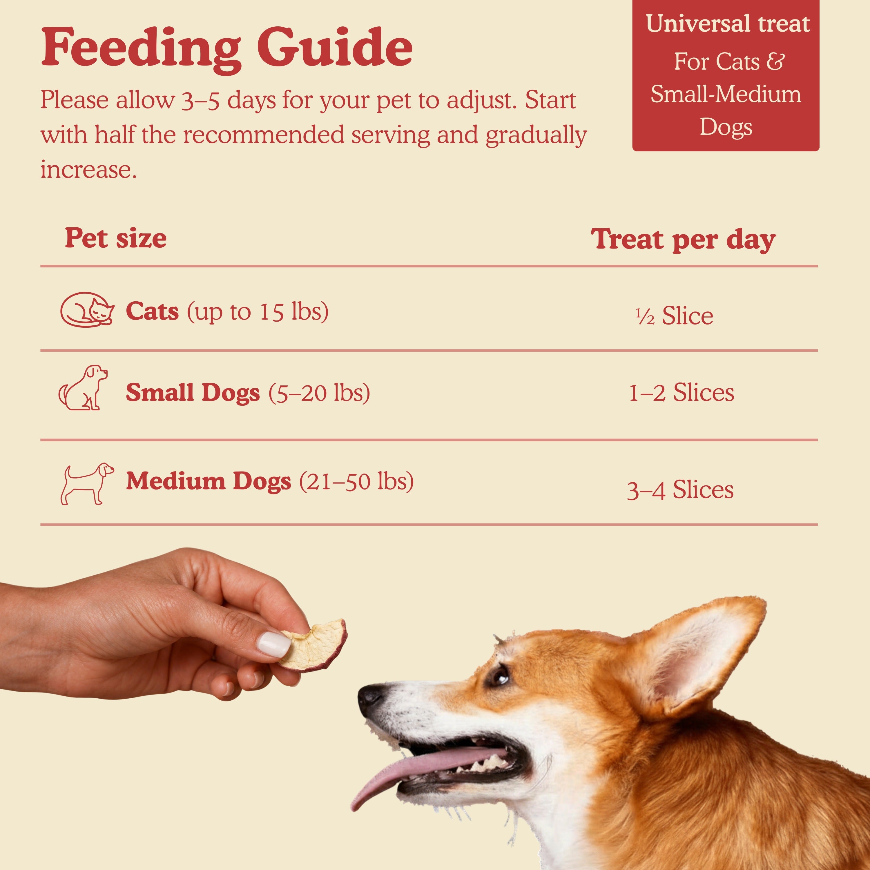 Hand holding freeze-dried apple treats for dogs and cats