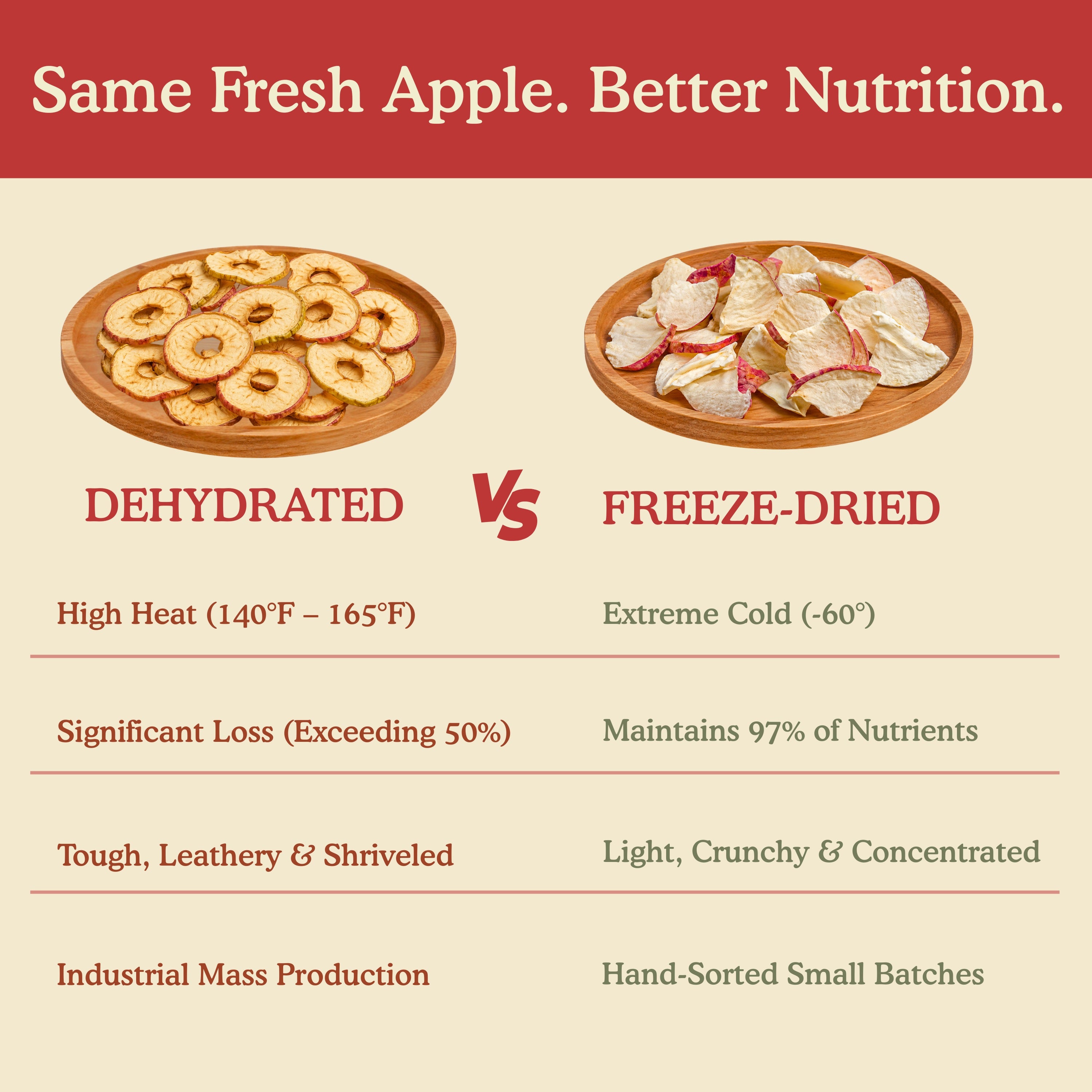 Dog enjoying natural freeze-dried apple treats