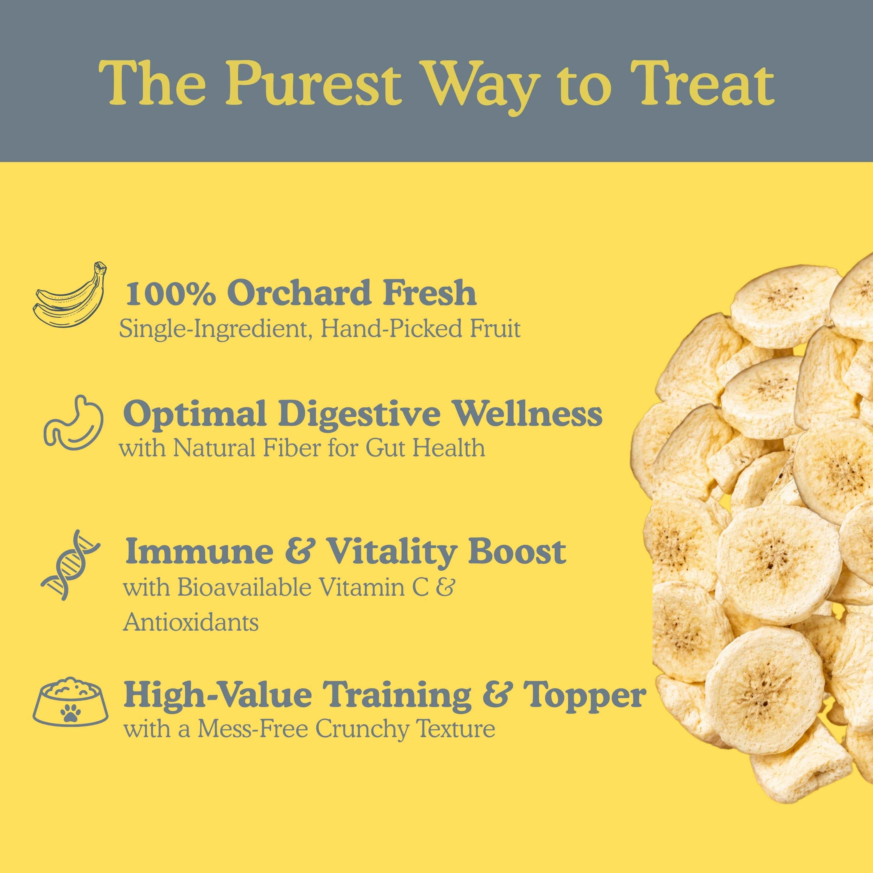 Freeze-dried banana slice treats for pets showing four key benefits: orchard-fresh single ingredient, digestive wellness with natural fibre, immune and vitality boost with Vitamin C antioxidants, and high-value training treat with crunchy texture