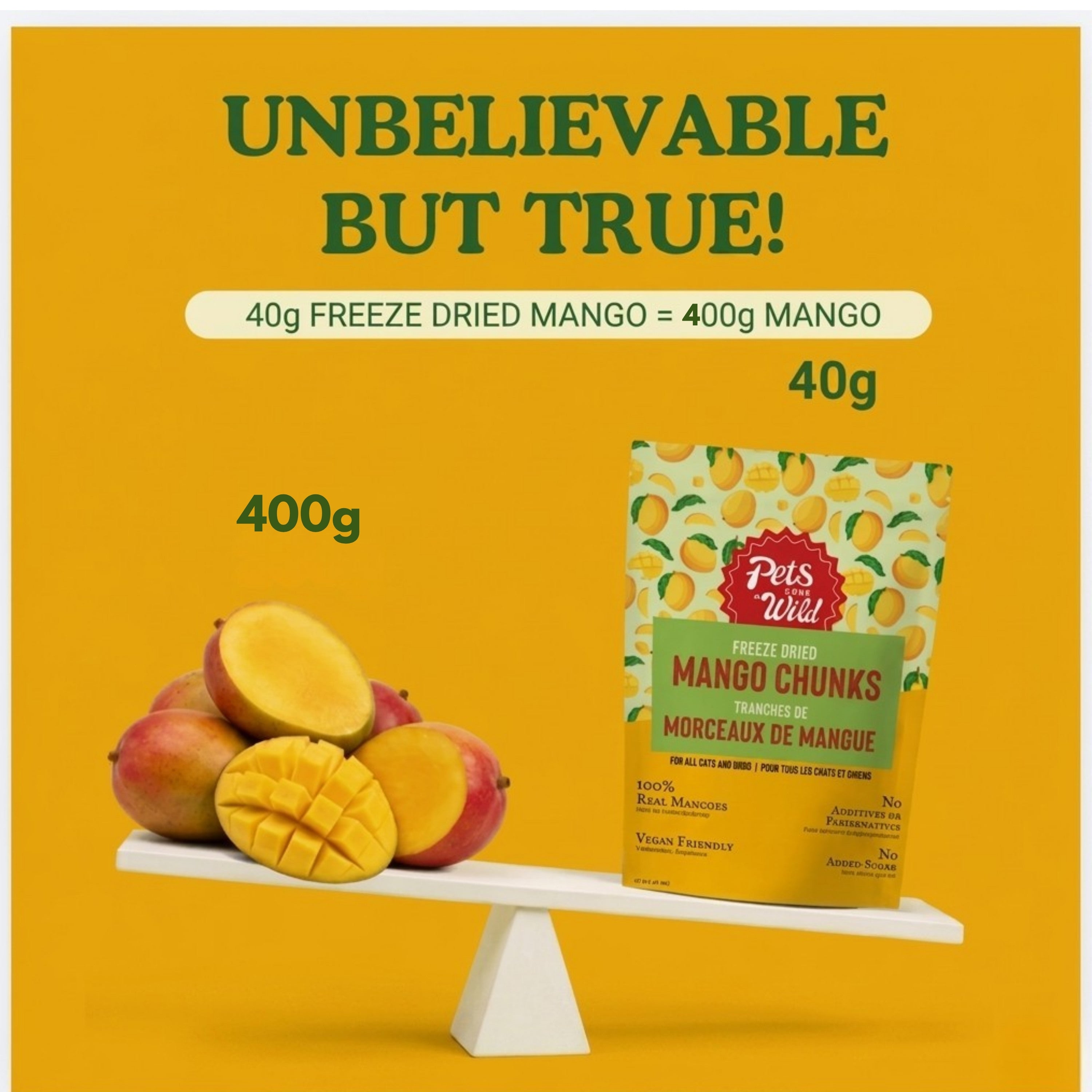 Scale showing 40g of Pets Gone Wild freeze-dried mango treats equals the nutritional content of 400g of fresh mango, demonstrating concentrated beta-carotene and Vitamin A density for dogs and cats