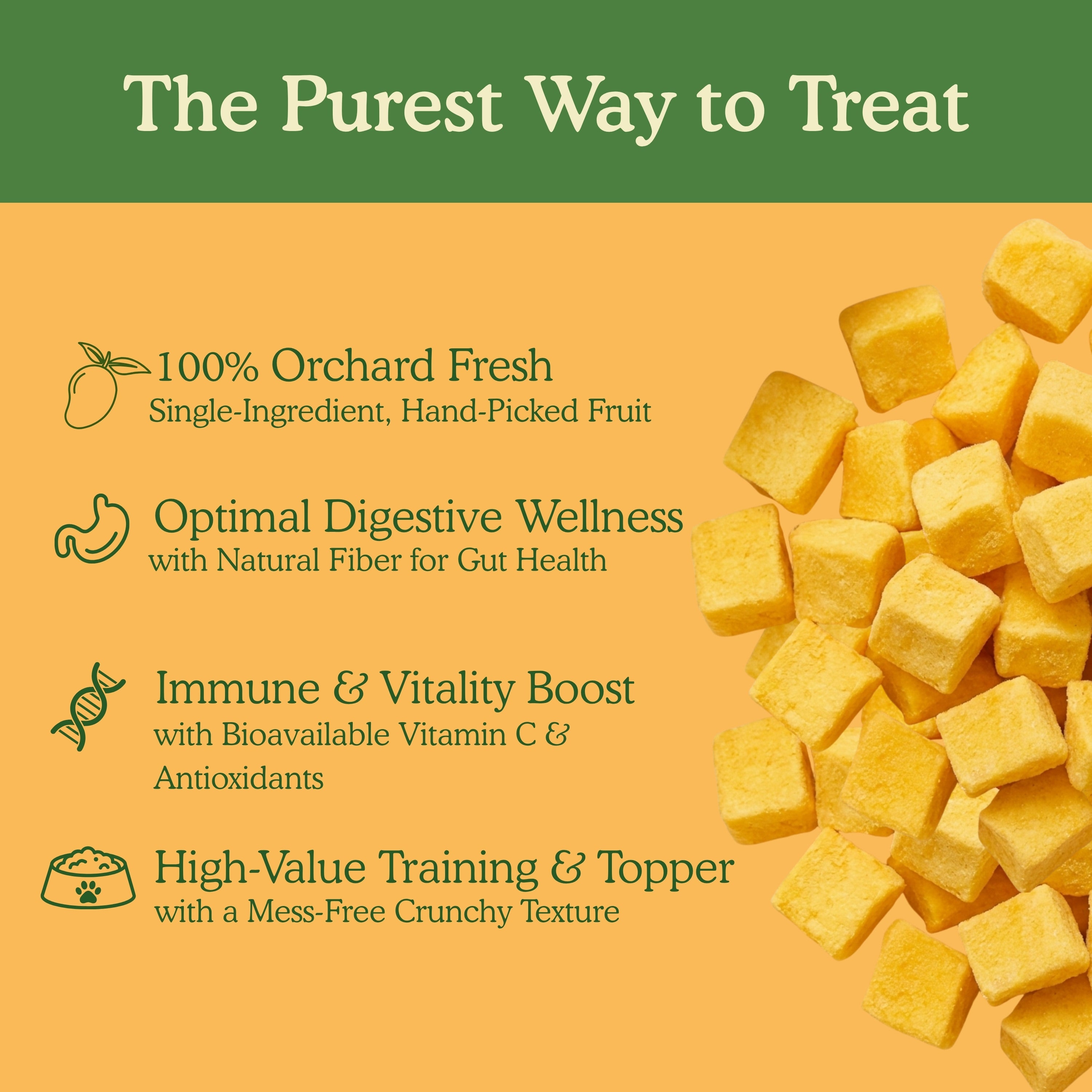 Freeze-dried mango chunk treats for pets showing four benefits: orchard-fresh single ingredient, optimal digestive wellness with natural fibre, immune and vitality boost with bioavailable Vitamin C and antioxidants, and high-value training treat with mess-free crunchy texture