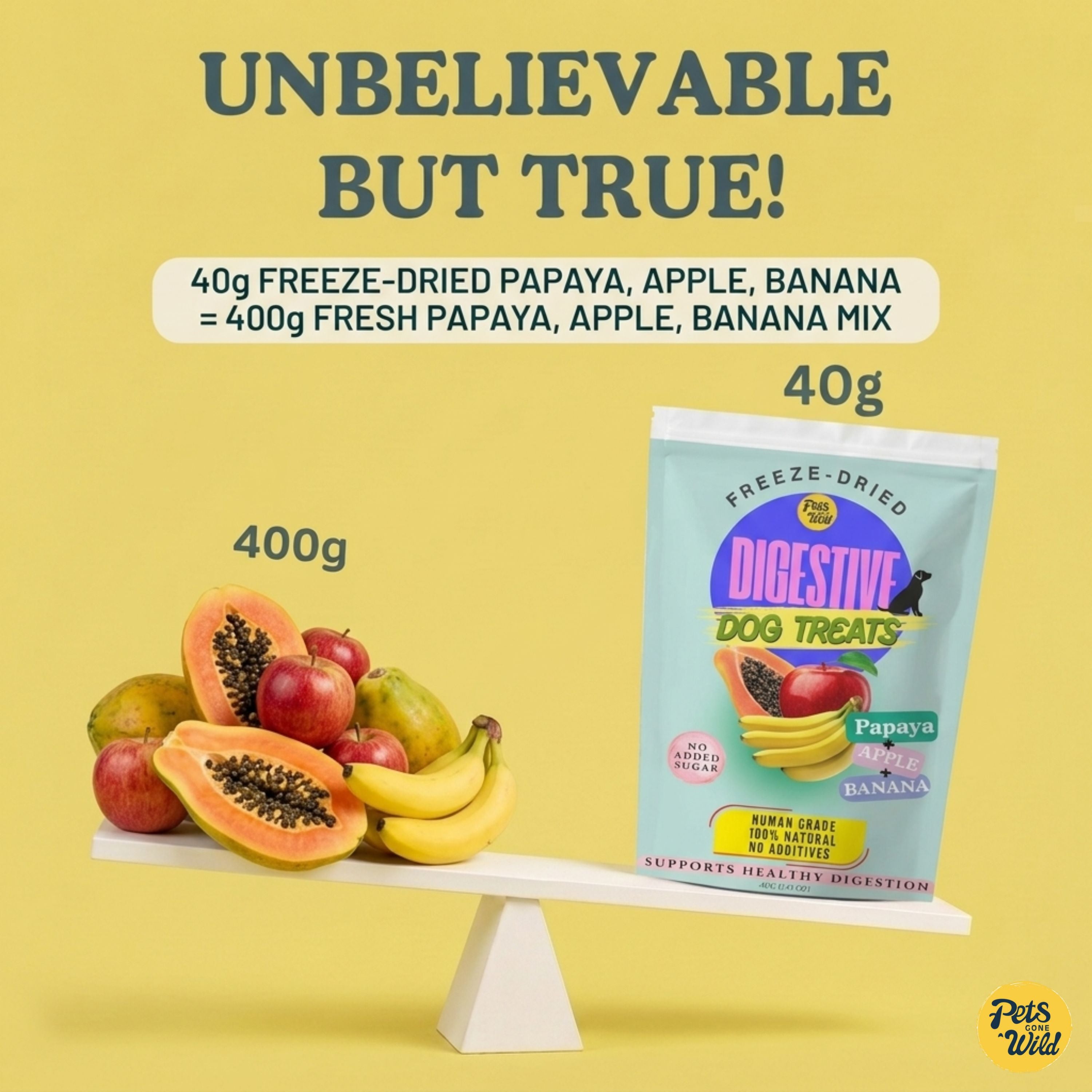 Scale showing 40g of Pets Gone Wild freeze-dried papaya apple and banana Digestive Dog Treats equals the nutritional content of 400g of fresh papaya apple and banana combined, including 10x concentrated papain digestive enzyme, natural fibre, and Vitamin C for dogs and cats