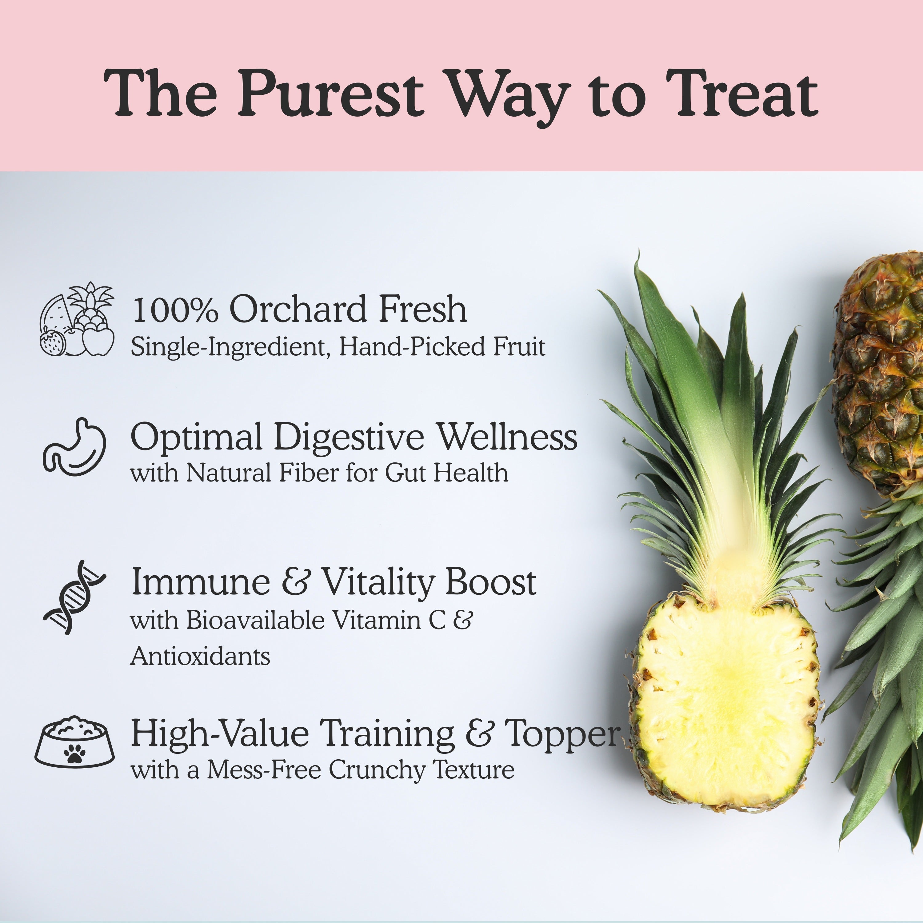 Freeze-dried pineapple mango and apple skin and coat treats for dogs showing four benefits: 100% orchard-fresh hand-picked fruit with bromelain enzyme from pineapple, optimal digestive wellness with natural fibre for gut health, immune and vitality boost with bioavailable Vitamin C and antioxidants for skin, and high-value training treat with mess-free crunchy texture
