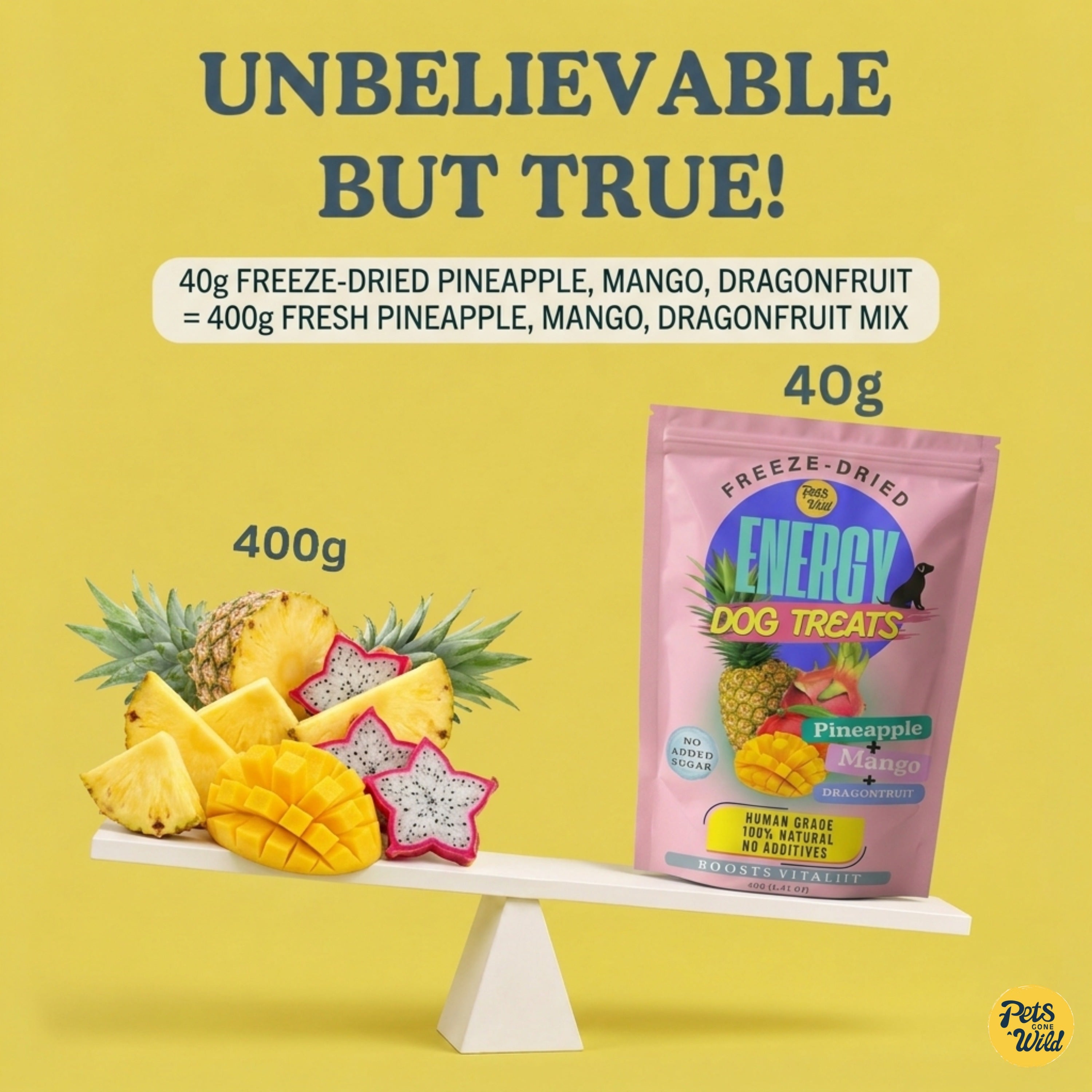 Scale showing 40g of Pets Gone Wild freeze-dried pineapple mango and dragon fruit Energy Dog Treats equals the nutritional content of 400g of fresh pineapple mango and dragon fruit combined, demonstrating 10x concentrated nutrient density for dogs