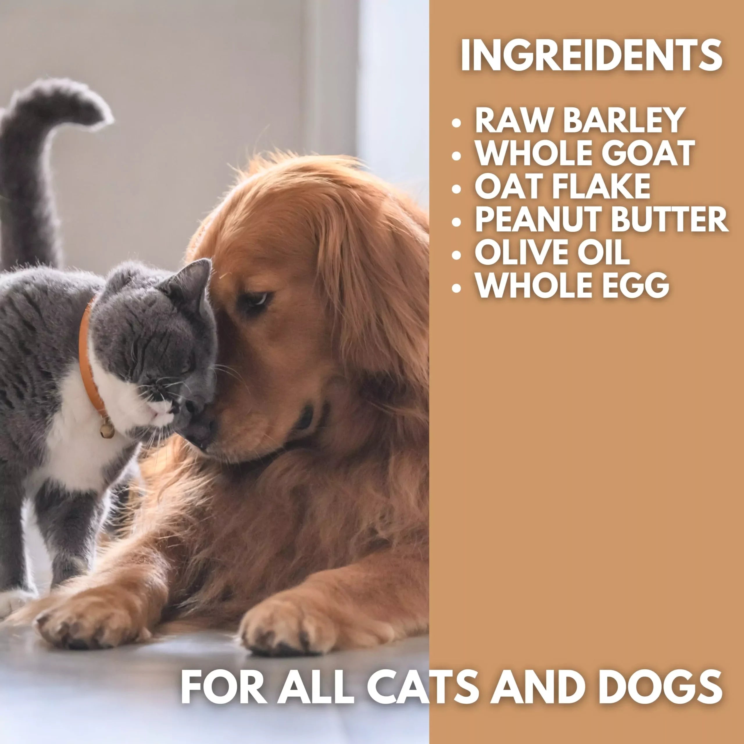 Dog and cat together with ingredient list overlay for Pets Gone Wild goat milk peanut butter cookies showing six wholesome ingredients: raw barley, whole goat milk, oat flakes, xylitol-free natural peanut butter, olive oil and whole egg — natural treats suitable for both dogs and cats, made in Canada