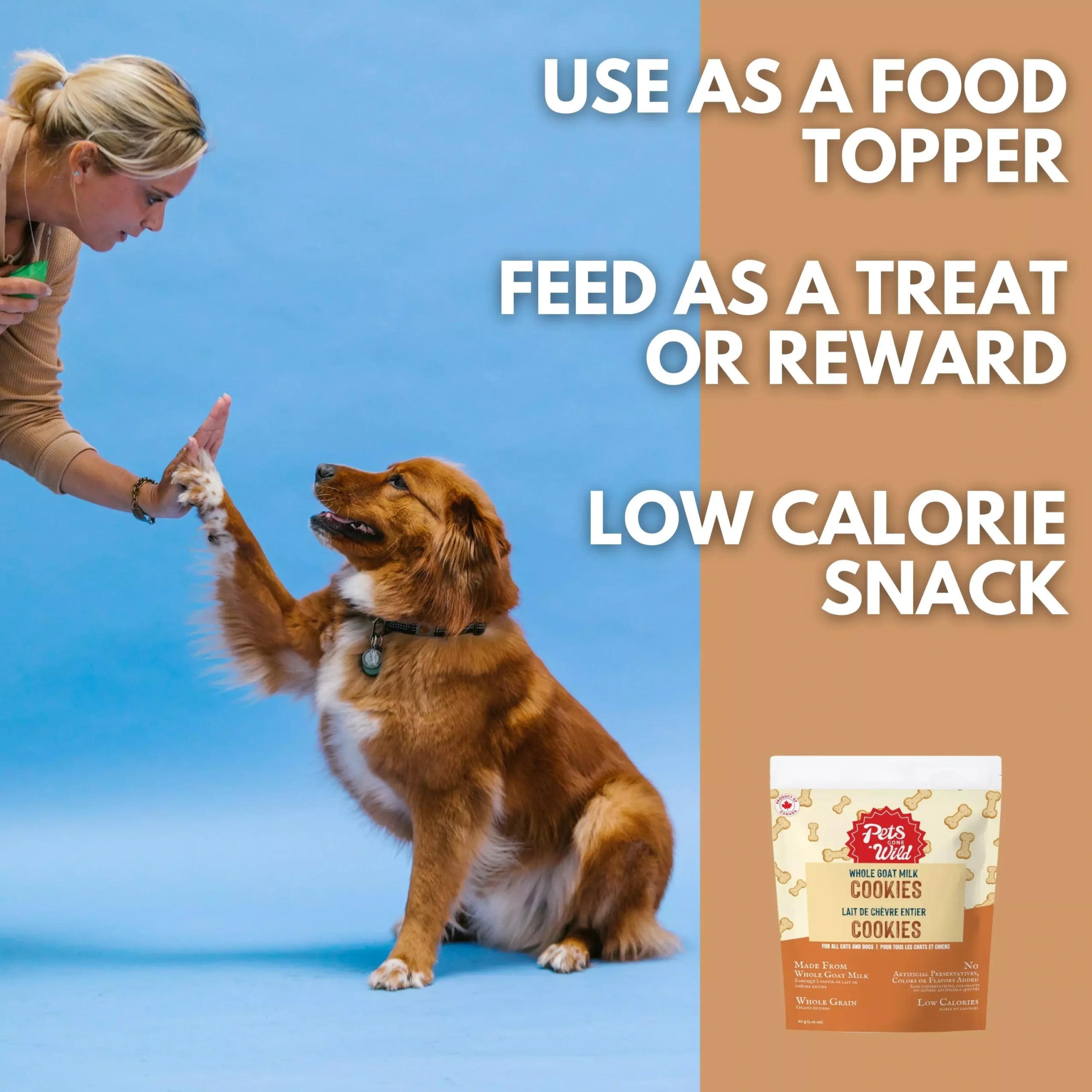 Person giving Pets Gone Wild goat milk peanut butter cookie to a dog, demonstrating three ways to use the treat: as a food topper for nutritional variety, as a low-calorie training reward for puppies and small dogs, and as an at-home snack — xylitol-free and suitable for cats too