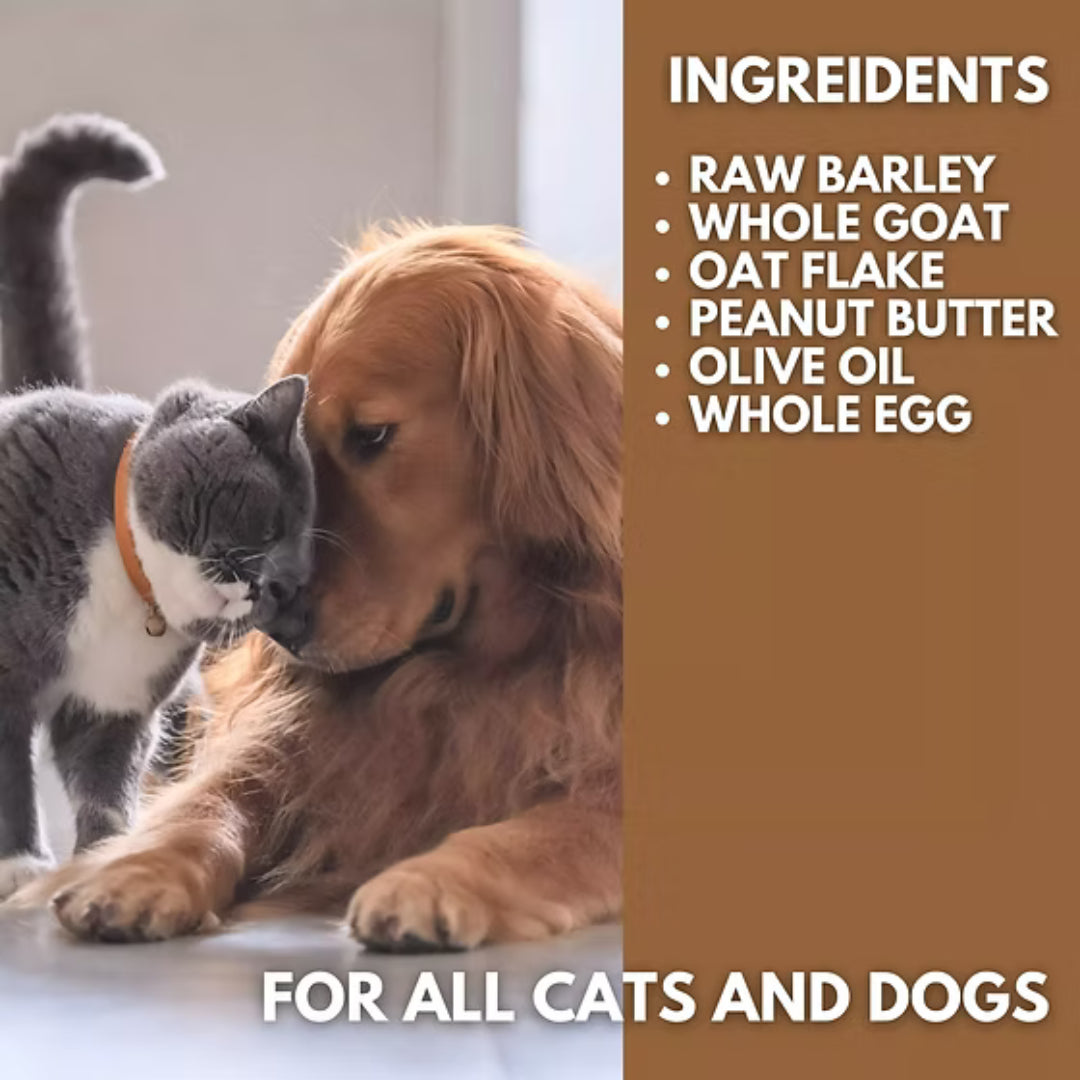 Dog and cat together with ingredient list overlay for Pets Gone Wild goat milk peanut butter cookies medium and large size showing six wholesome ingredients: raw barley, whole goat milk, oat flakes, xylitol-free natural peanut butter, olive oil and whole egg — natural treats for medium dogs, large dogs, and cats, made in Canada