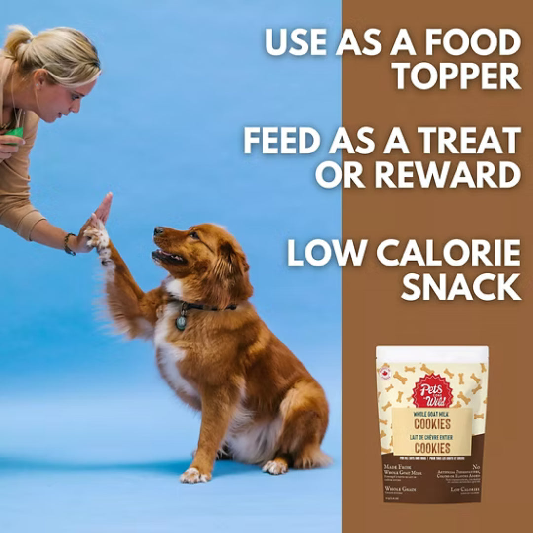 Person giving Pets Gone Wild goat milk peanut butter cookie to a medium or large dog, demonstrating three uses: as a nutritious food topper for medium and large dogs, as a satisfying daily training reward for bigger breeds, and as a wholesome snack — xylitol-free and suitable for cats when broken into pieces
