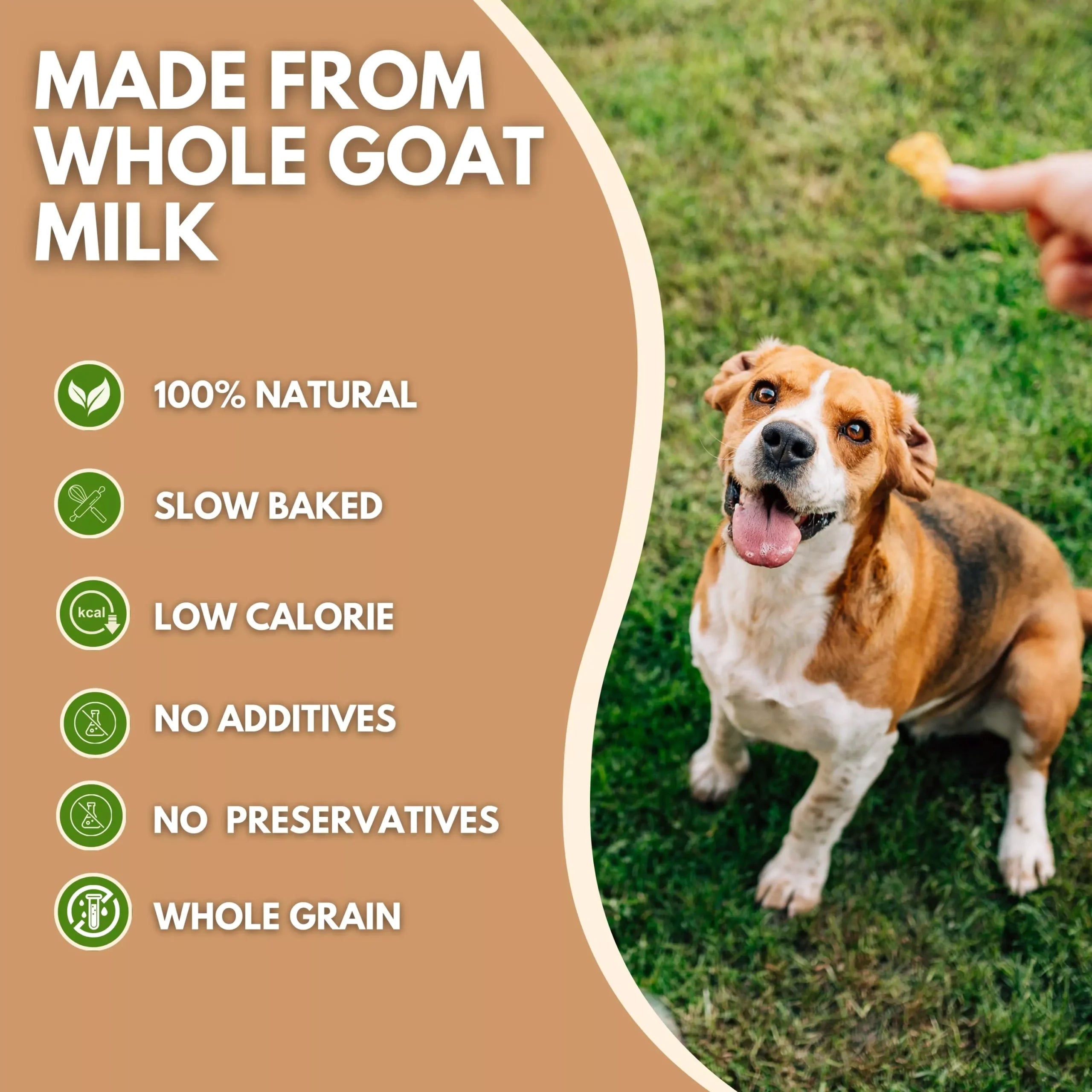 Dog enjoying Pets Gone Wild goat milk peanut butter cookies outdoors on grass, with text highlighting the whole goat milk benefit — easier to digest than cow's milk, rich in calcium and vitamins for dogs and cats, slow-baked in Canada