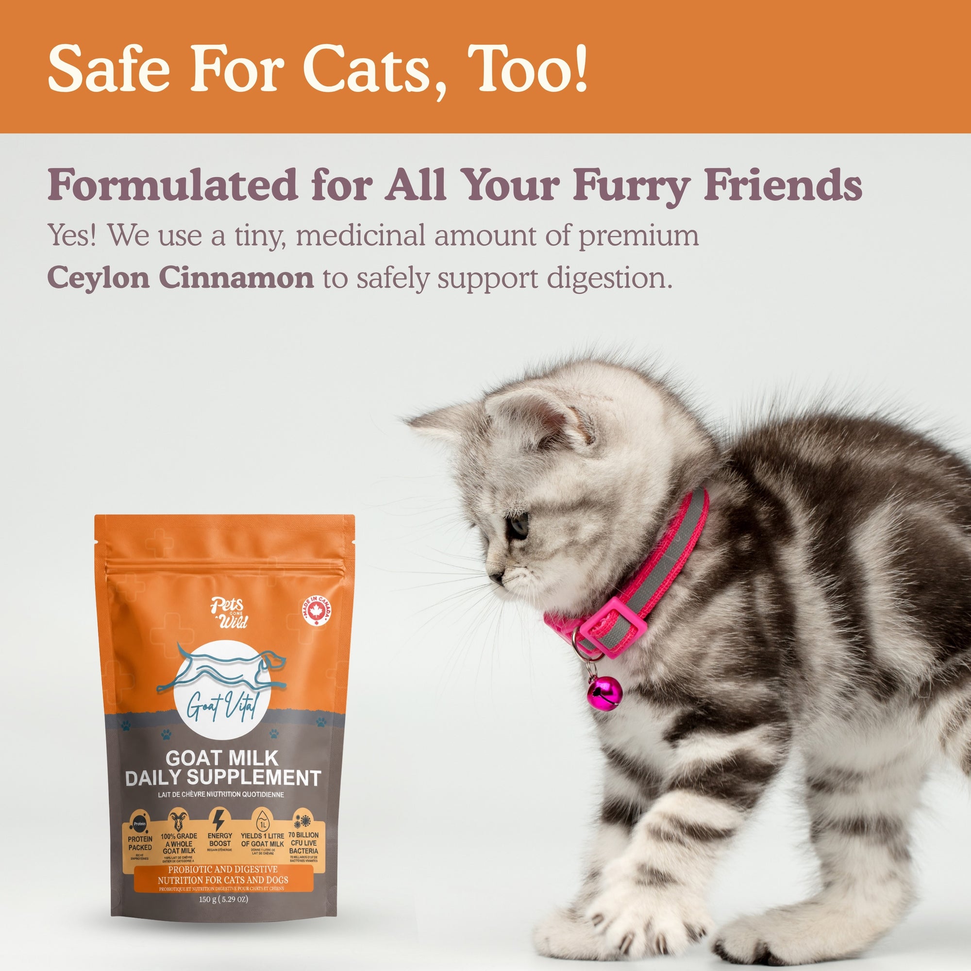 Pets Gone Wild Goat Vital powdered goat milk supplement shown with kitten, with text confirming it is safe for cats and formulated for all cats and dogs — uses a medicinal amount of premium Ceylon cinnamon to safely support digestion in cats, probiotic and digestive nutrition for cats and dogs, made in Canada