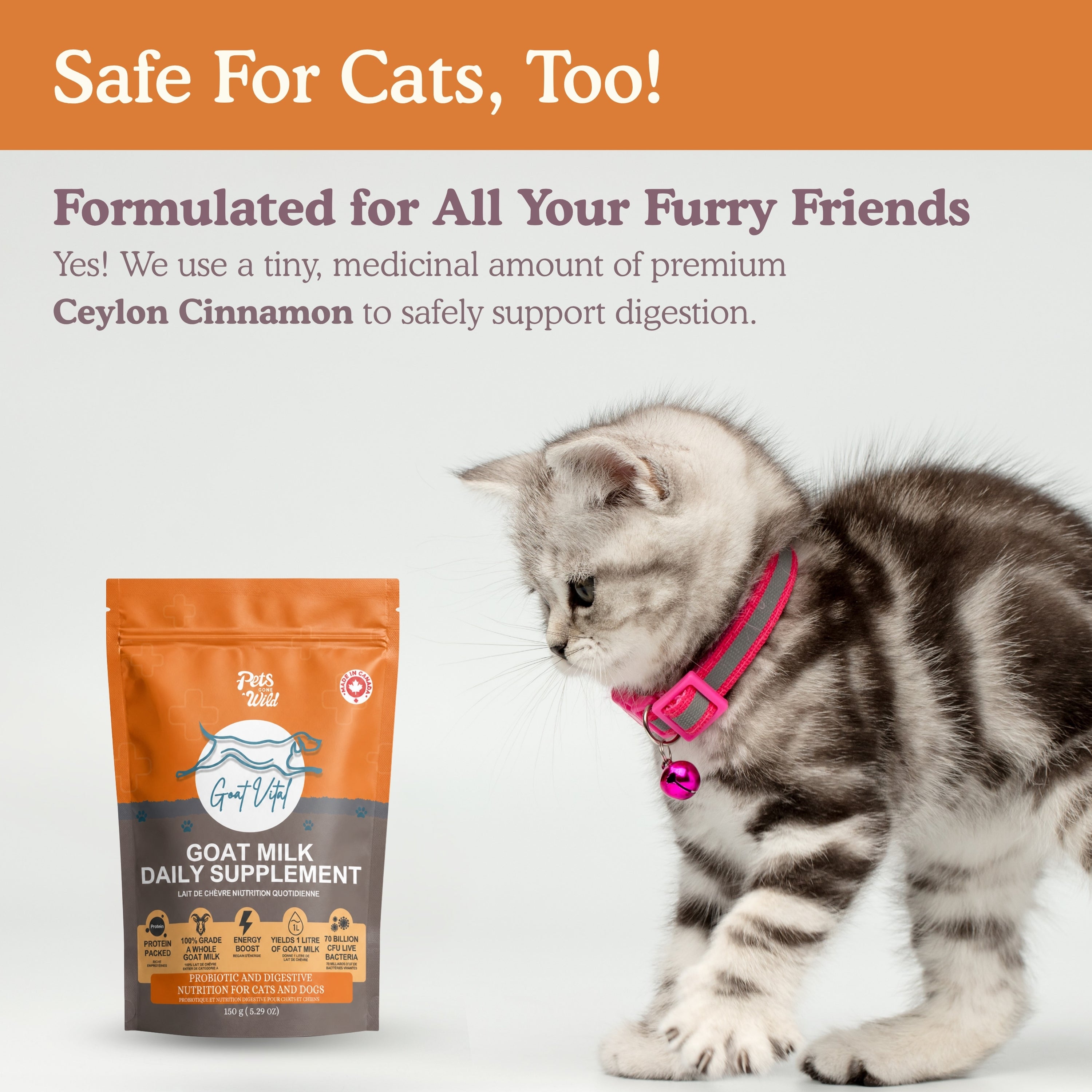 Pets Gone Wild Goat Vital powdered goat milk supplement shown with kitten, with text confirming it is safe for cats and formulated for all cats and dogs — uses a medicinal amount of premium Ceylon cinnamon to safely support digestion in cats, probiotic and digestive nutrition for cats and dogs, made in Canada