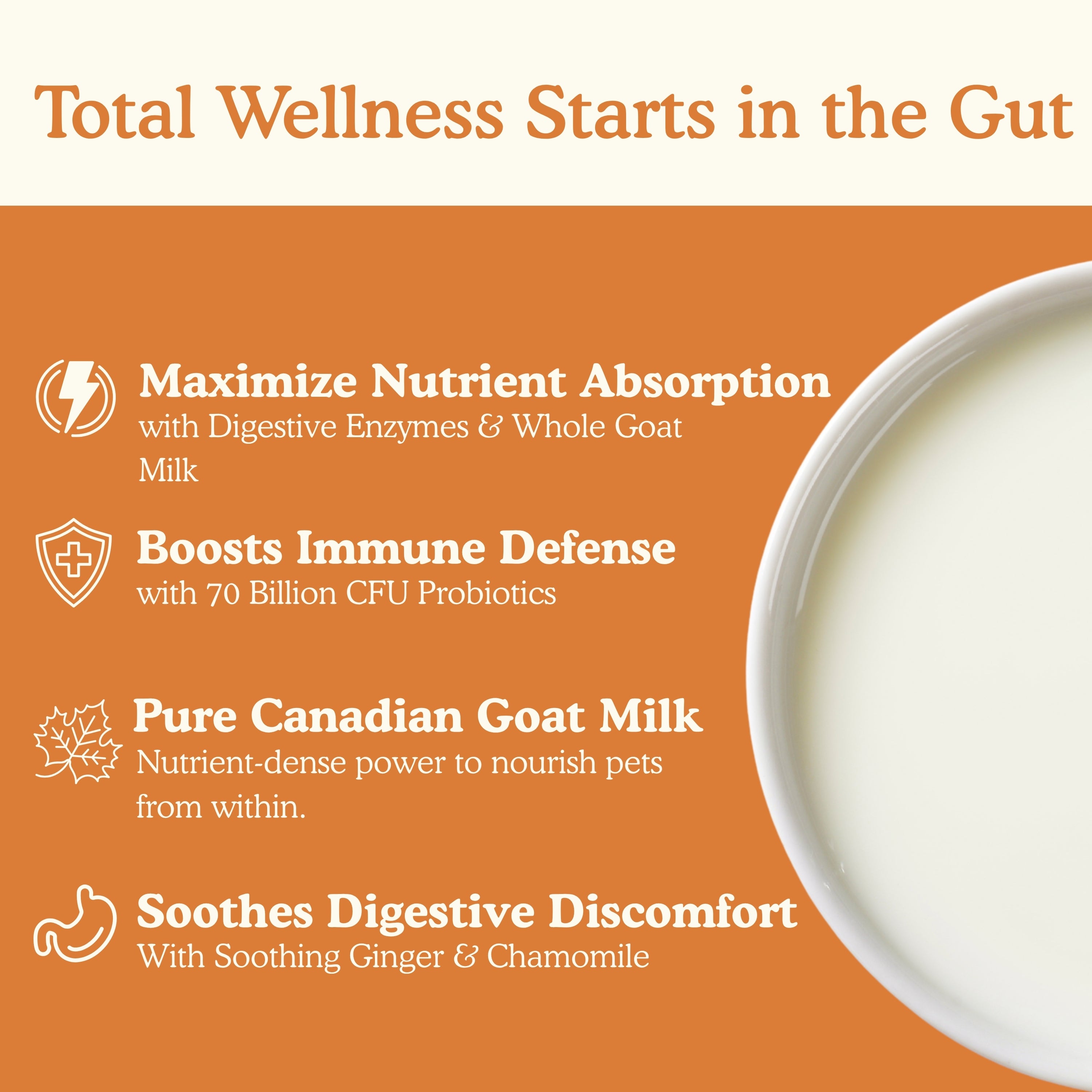 Infographic showing Goat Vital powdered goat milk supplement for dogs and cats has four gut health benefits: maximizes nutrient absorption with digestive enzymes and whole goat milk, boosts immune defense with 70 billion CFU probiotics, pure Canadian goat milk for nutrient-dense nourishment, and soothes digestive discomfort with ginger and chamomile