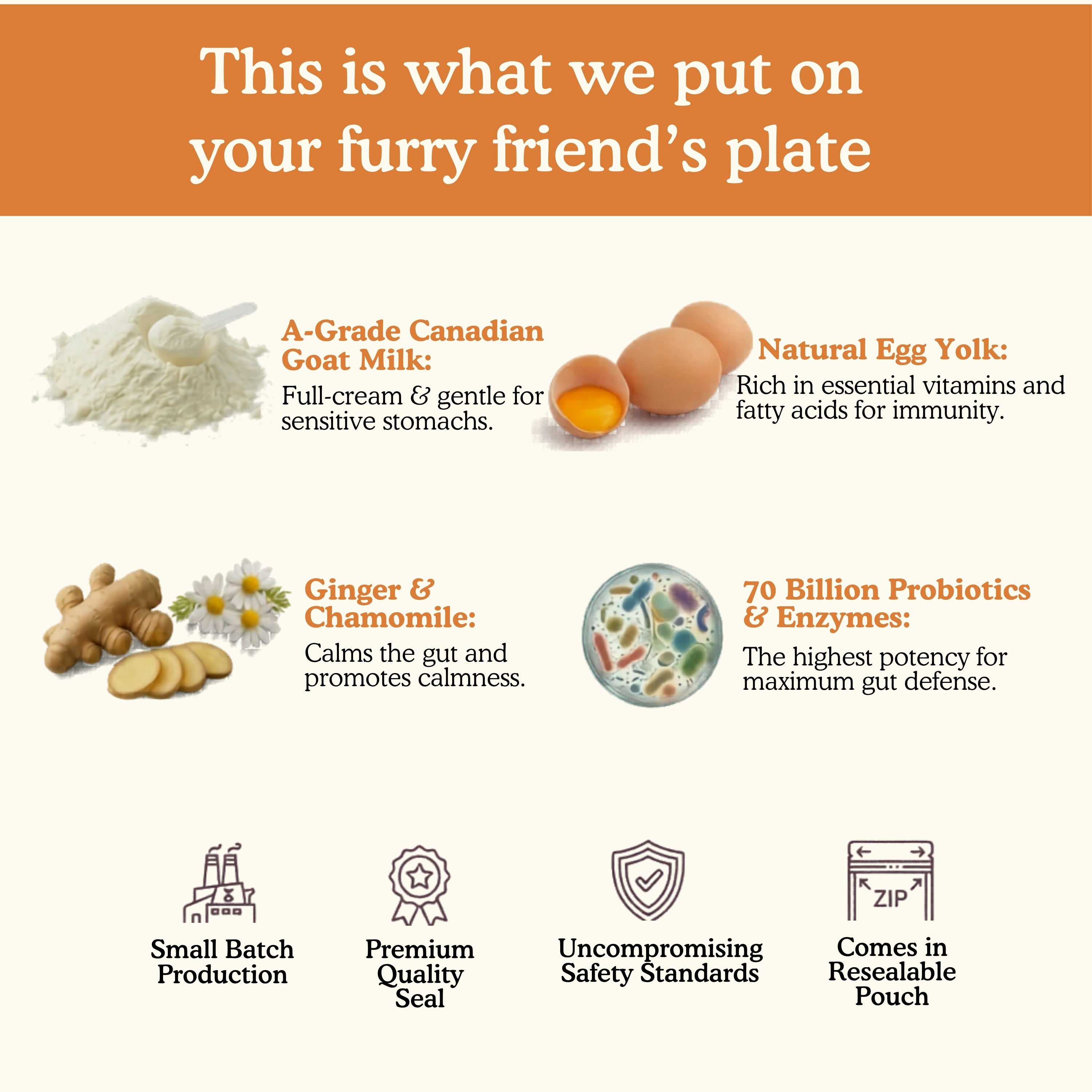 Ingredient transparency infographic for Pets Gone Wild Goat Vital showing four key ingredients: A-Grade Canadian goat milk powder full-cream and gentle for sensitive stomachs, natural egg yolk rich in essential vitamins and fatty acids for immunity, ginger and chamomile for gut calming and calmness, 70 billion probiotics and digestive enzymes for maximum gut defense — small batch production, premium quality, uncompromising safety standards, resealable pouch