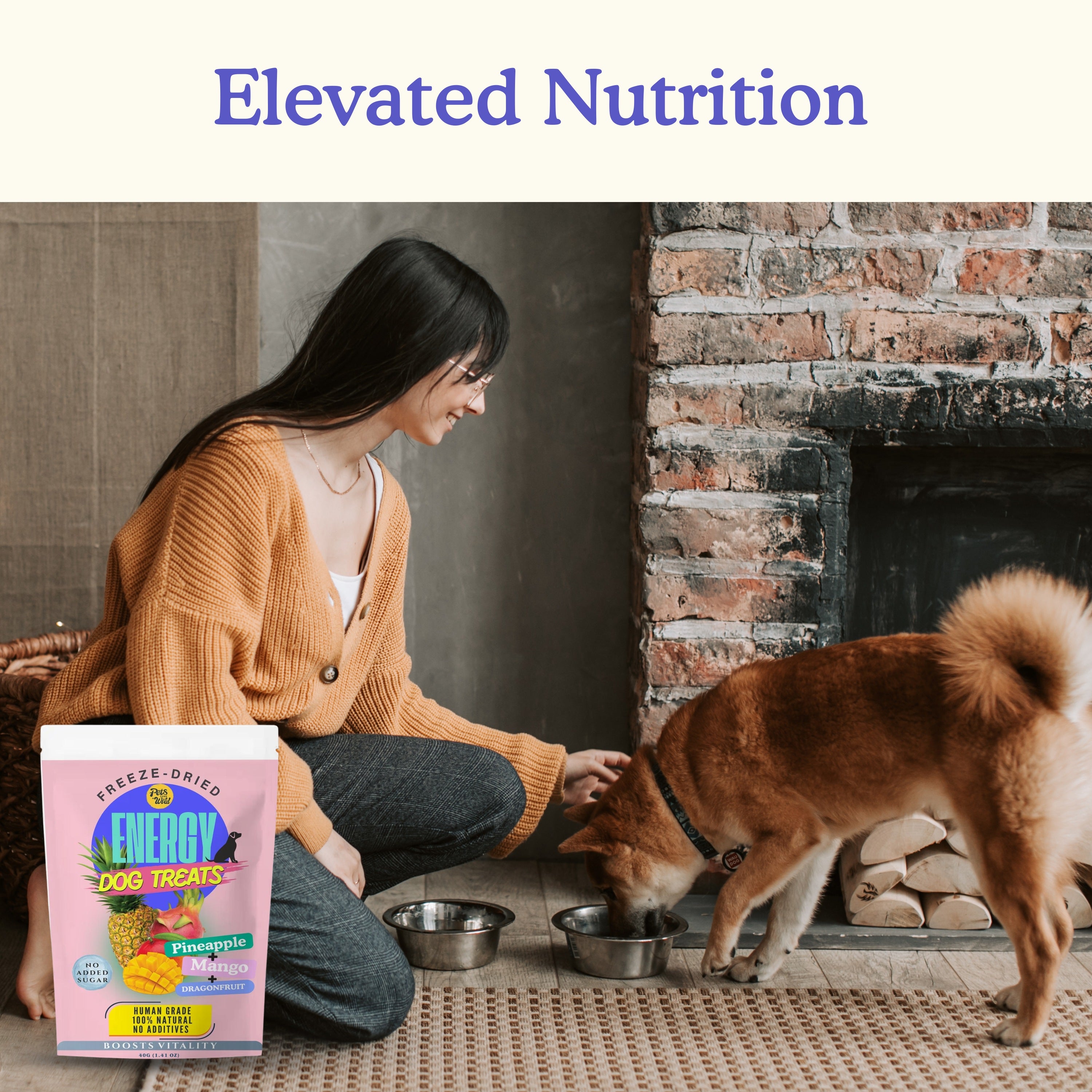 Pet owner feeding Pets Gone Wild freeze-dried pineapple mango and dragon fruit Energy Dog Treats to a Shiba Inu dog at home beside a fireplace, with the pink 40g energy treat pouch in the foreground, representing elevated daily nutrition for active dogs in Canada